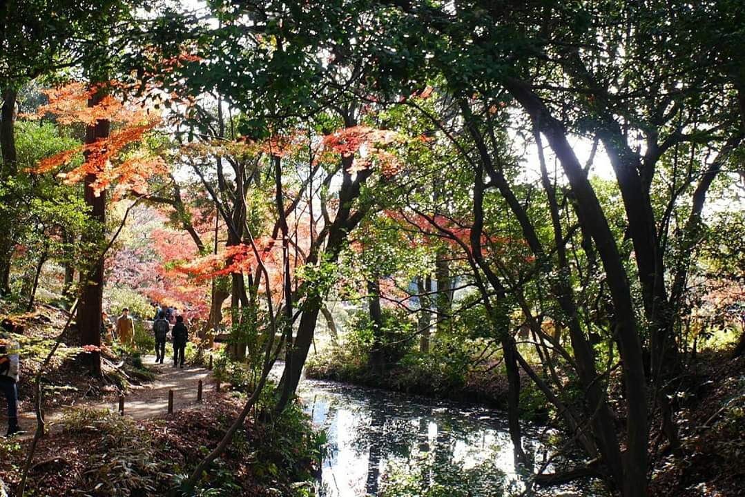 東京自助遊攻略