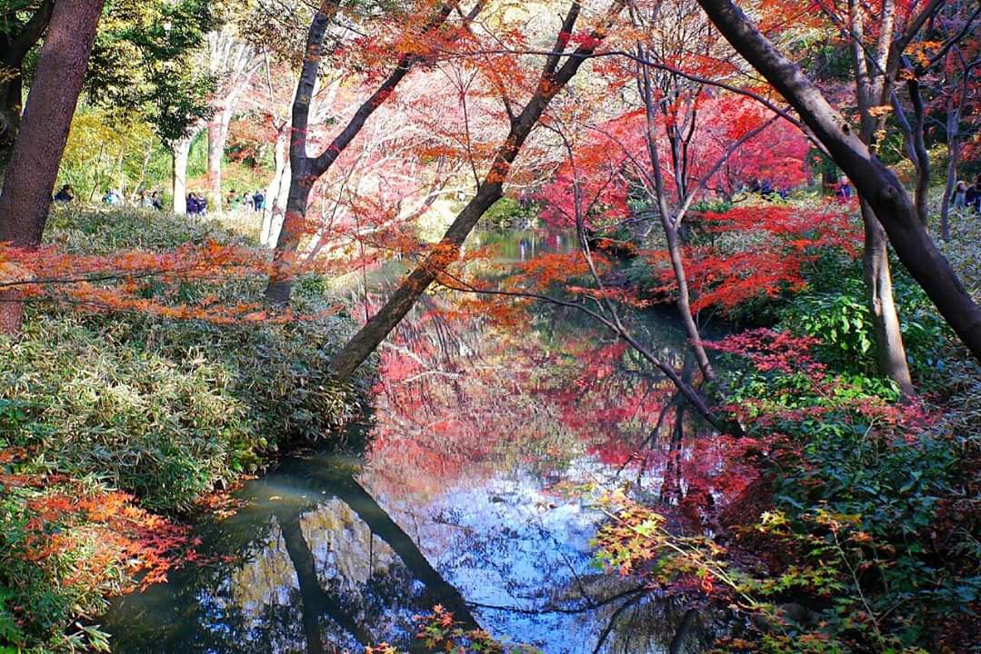 東京自助遊攻略