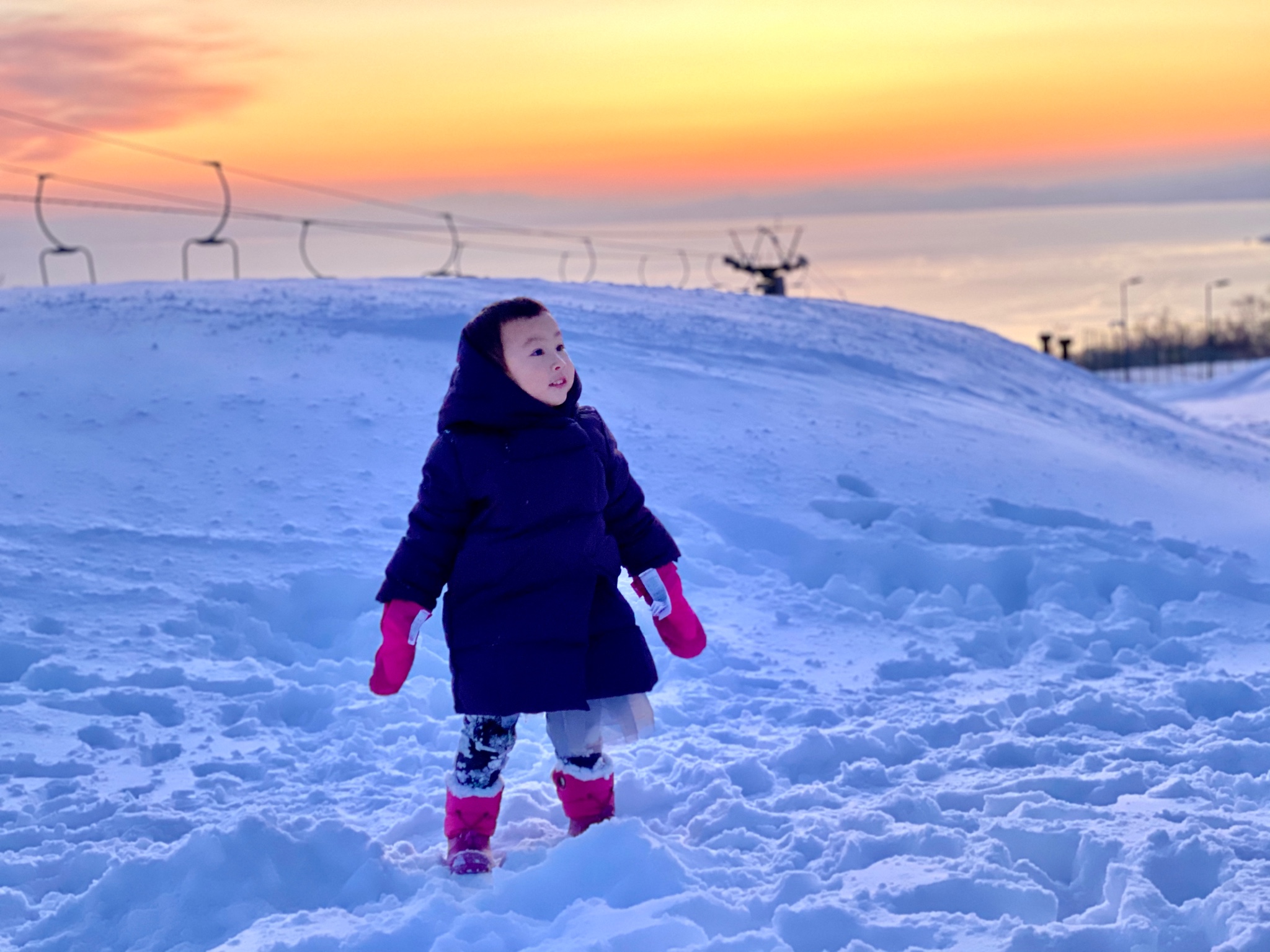 北海道自助遊攻略