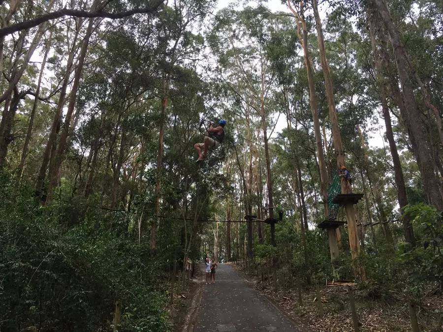 布裡斯班自助遊攻略