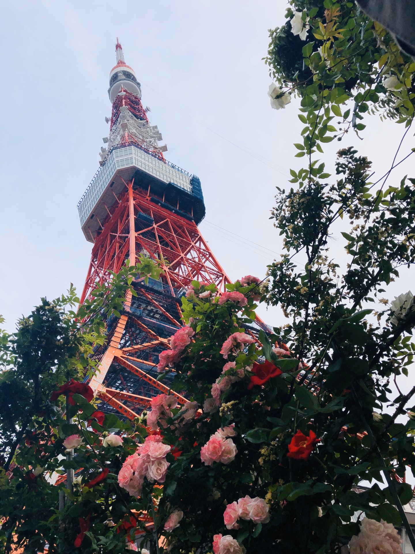 東京自助遊攻略