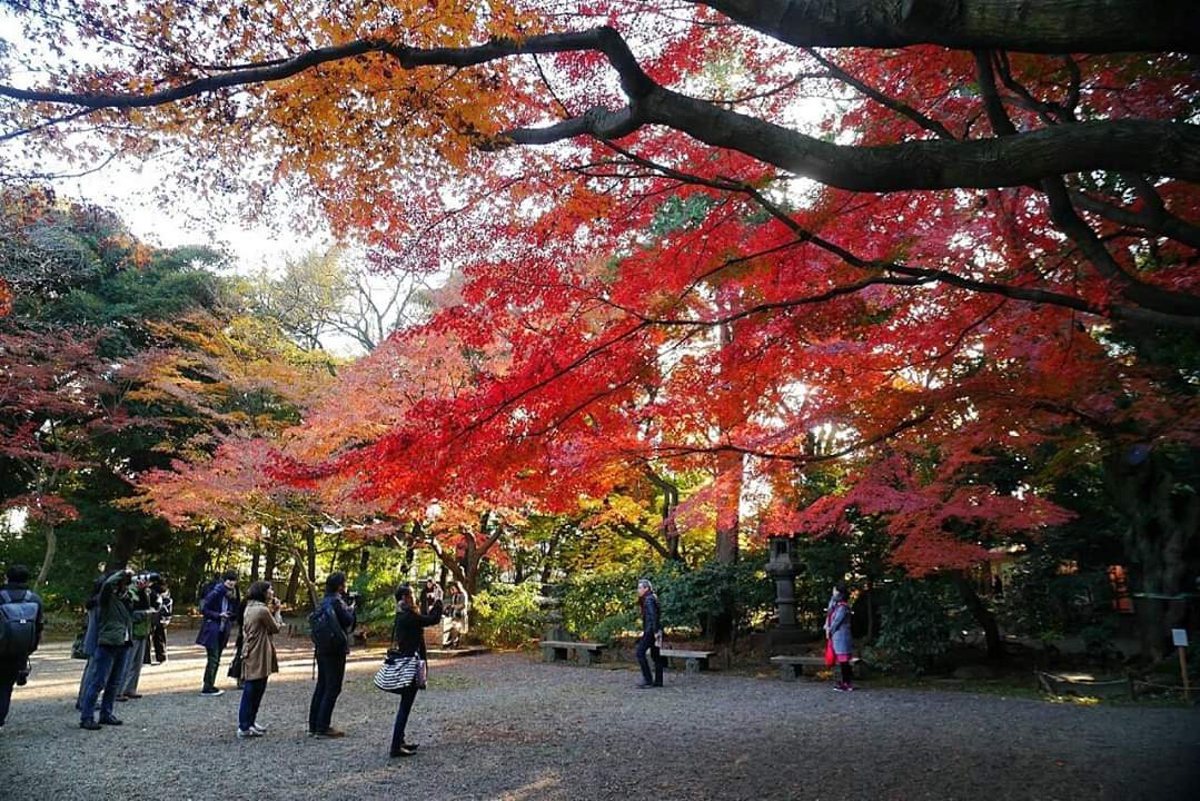 東京自助遊攻略