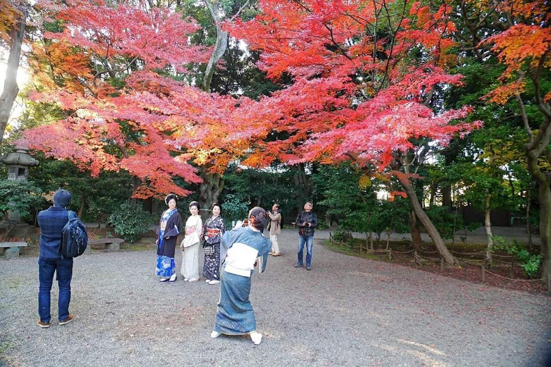 東京自助遊攻略