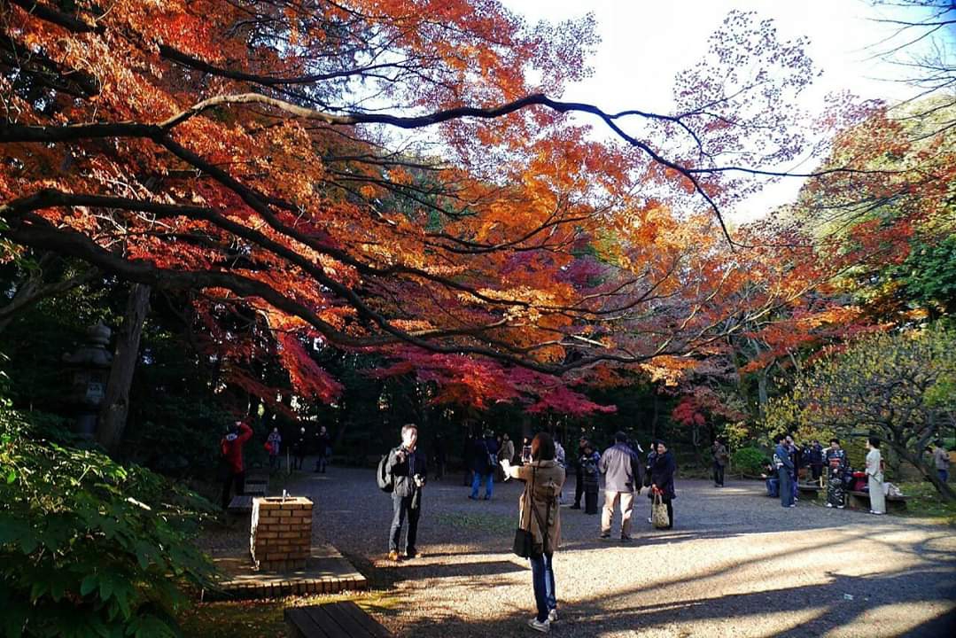 東京自助遊攻略