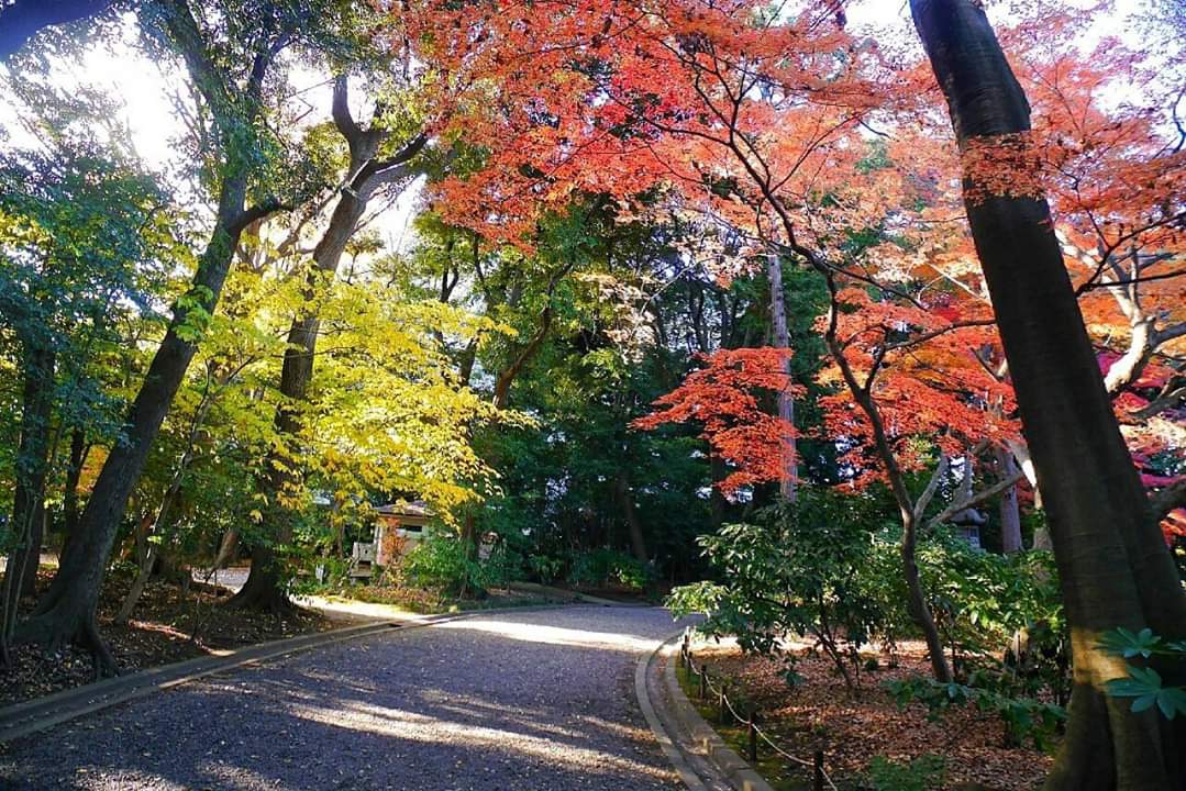 東京自助遊攻略