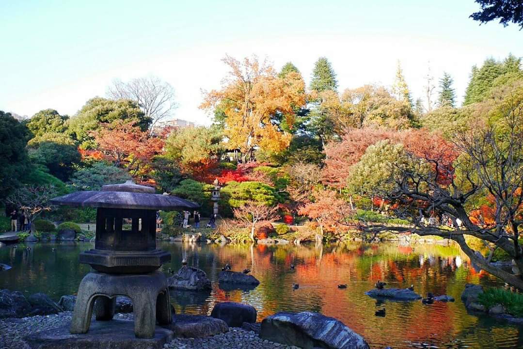 東京自助遊攻略