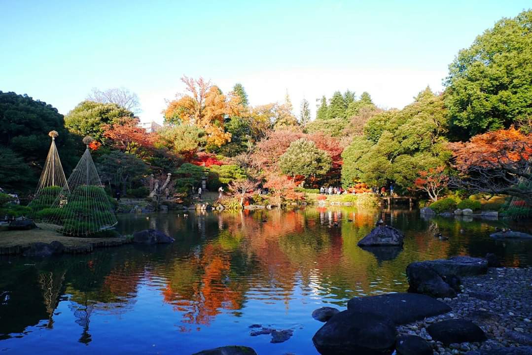 東京自助遊攻略