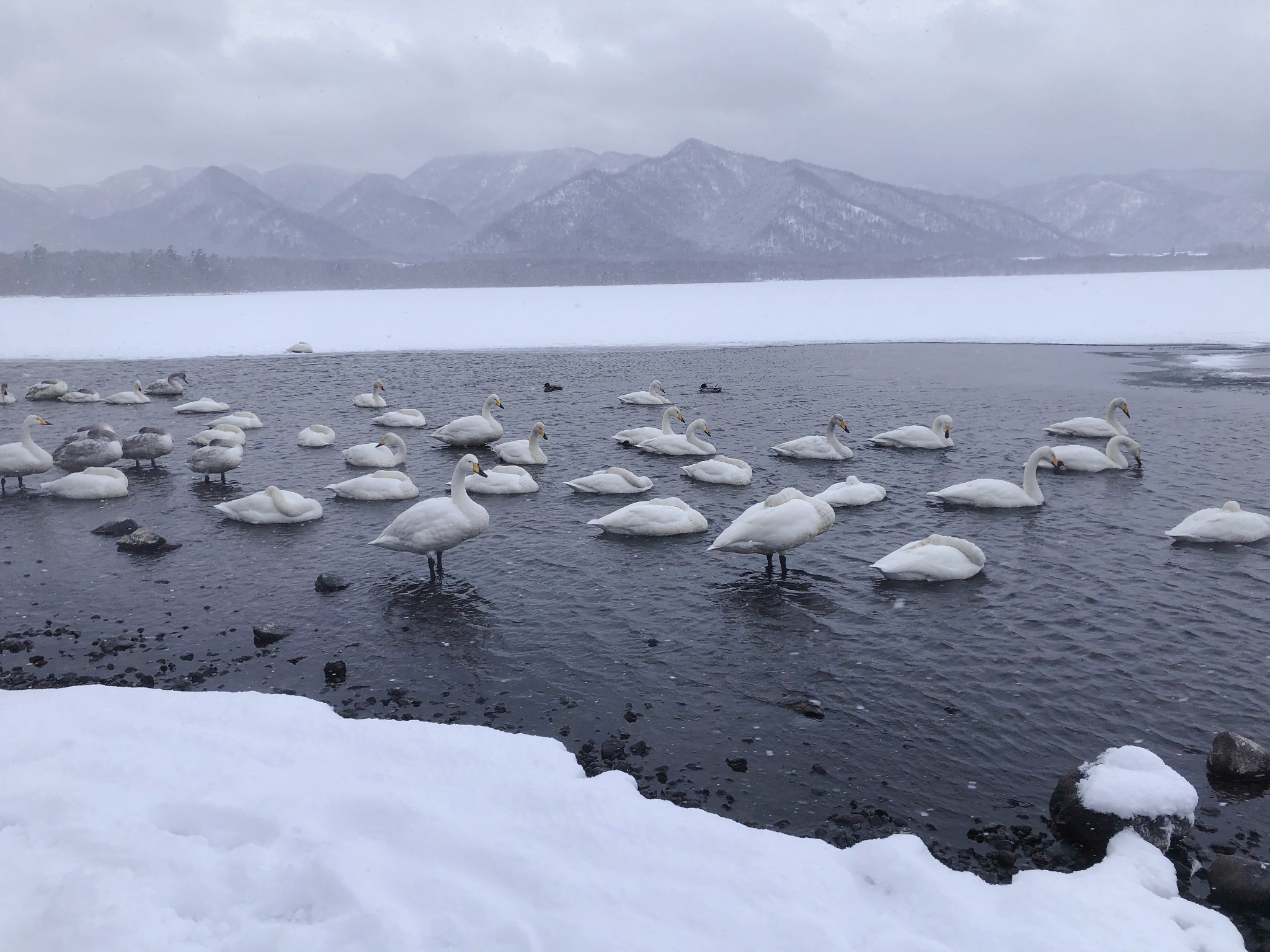 北海道自助遊攻略