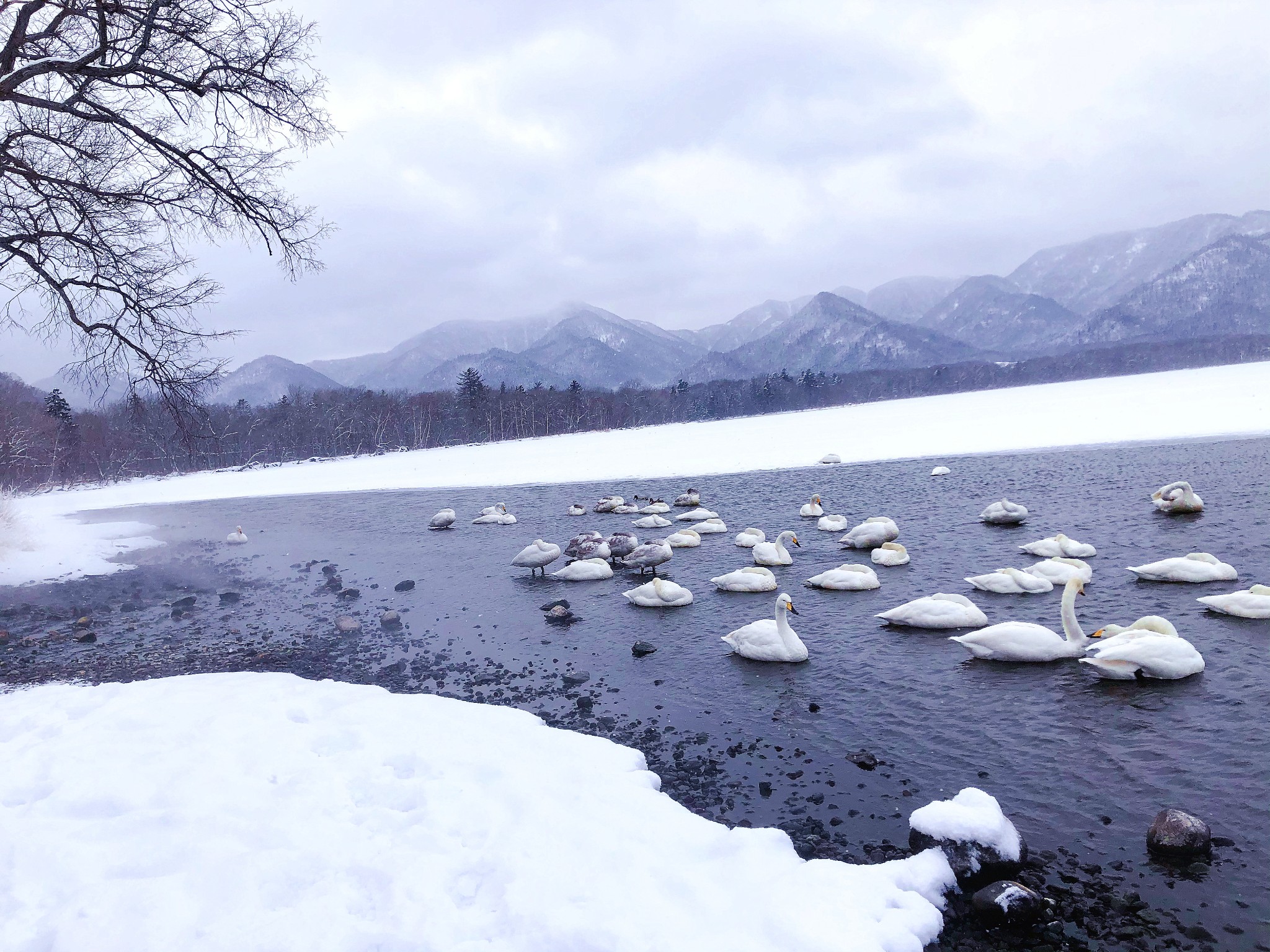 北海道自助遊攻略