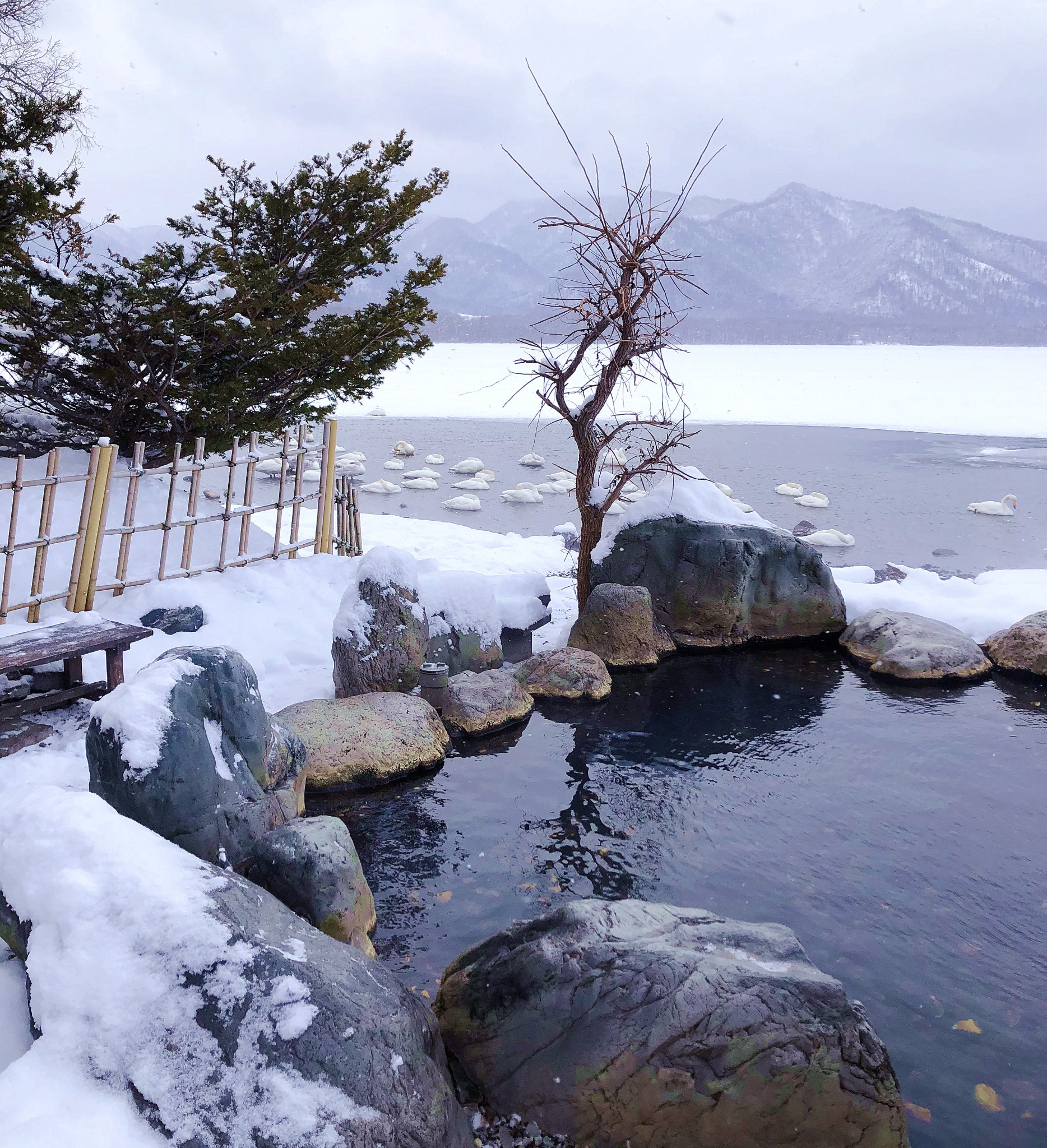 北海道自助遊攻略