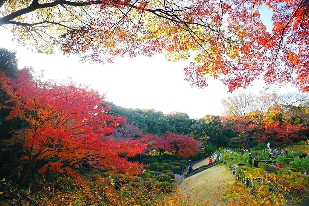 東京自助遊攻略