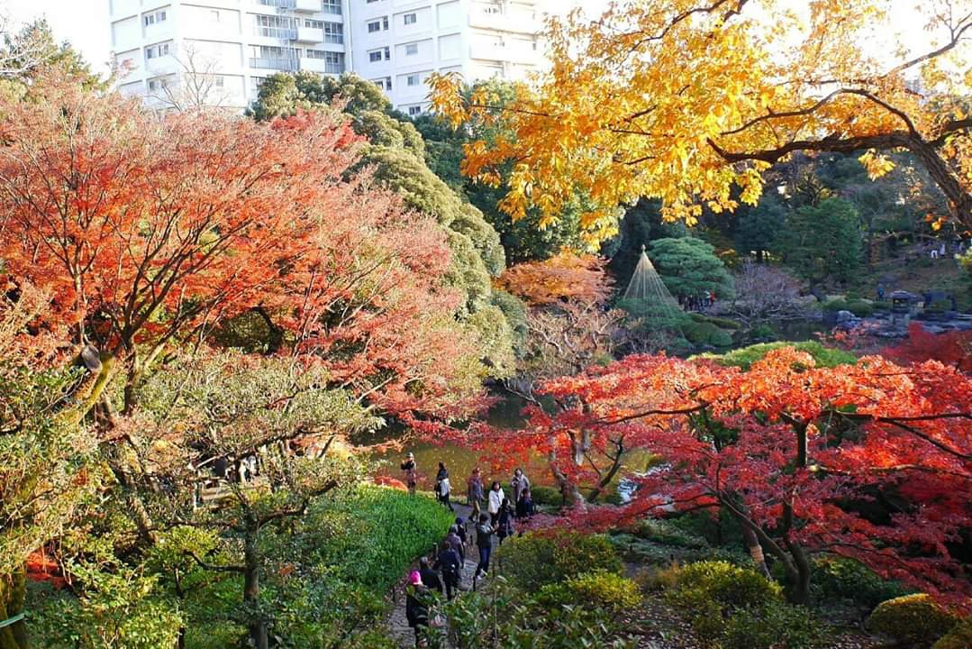 東京自助遊攻略