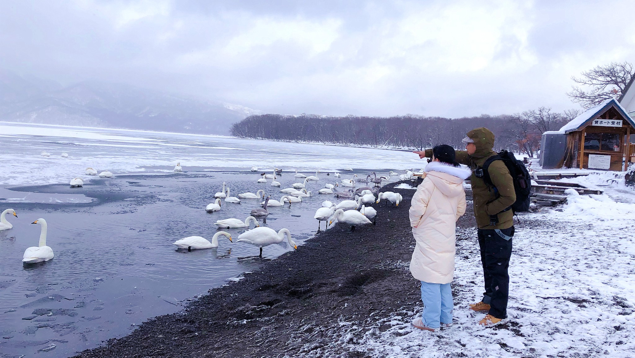 北海道自助遊攻略