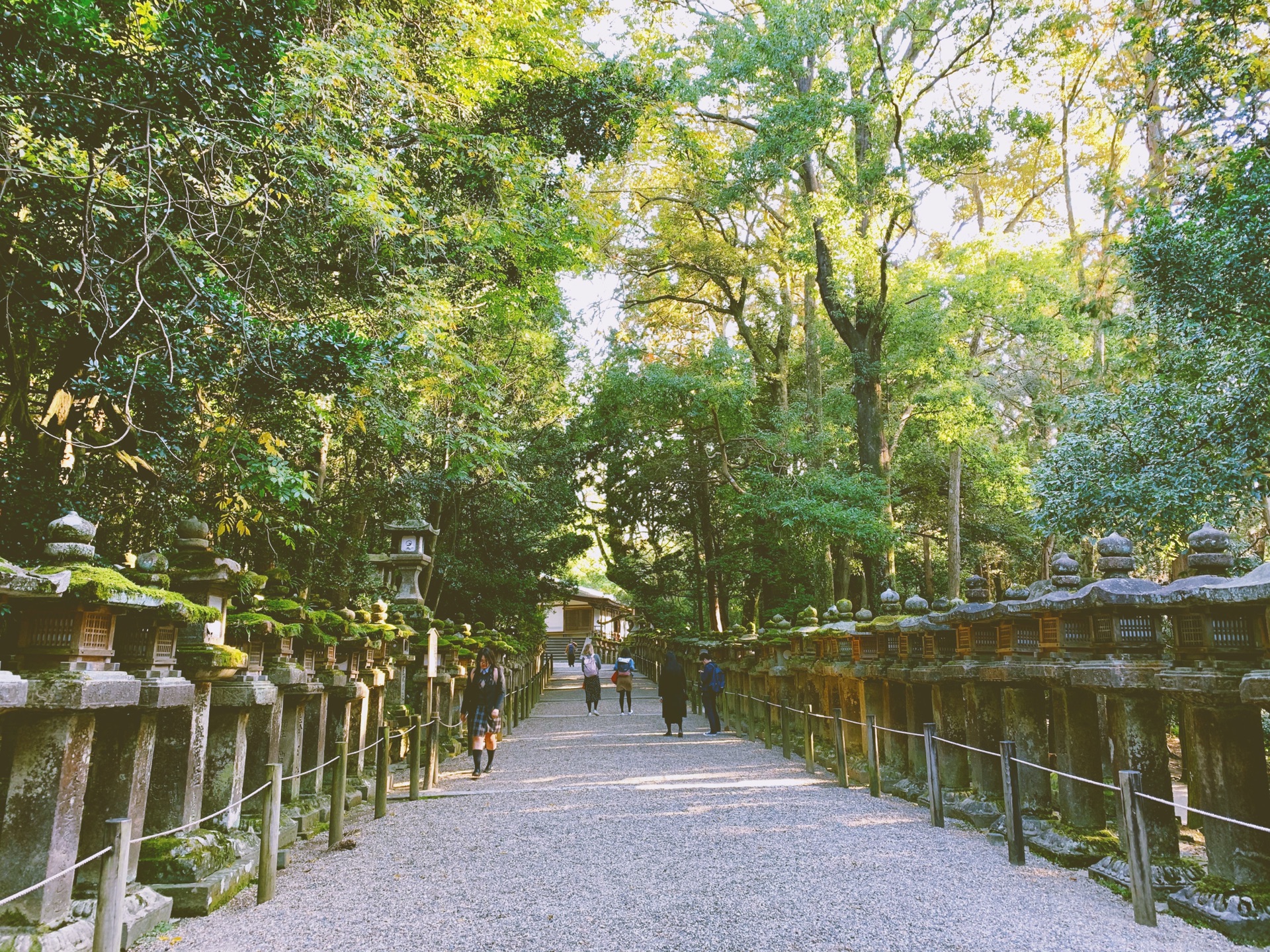 京都自助遊攻略