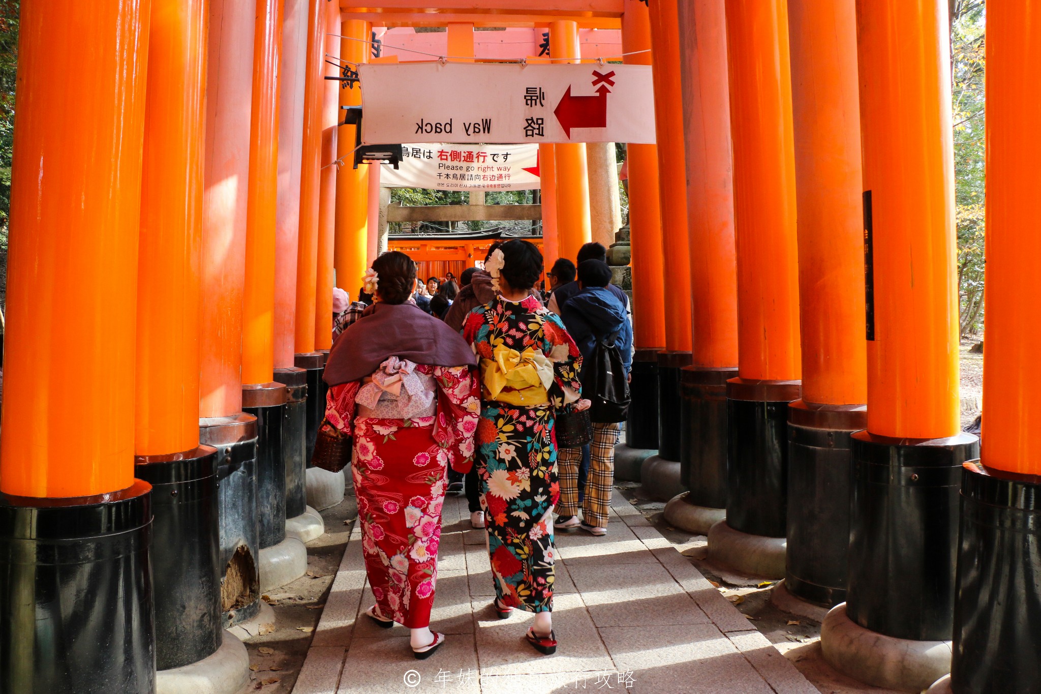 京都自助遊攻略