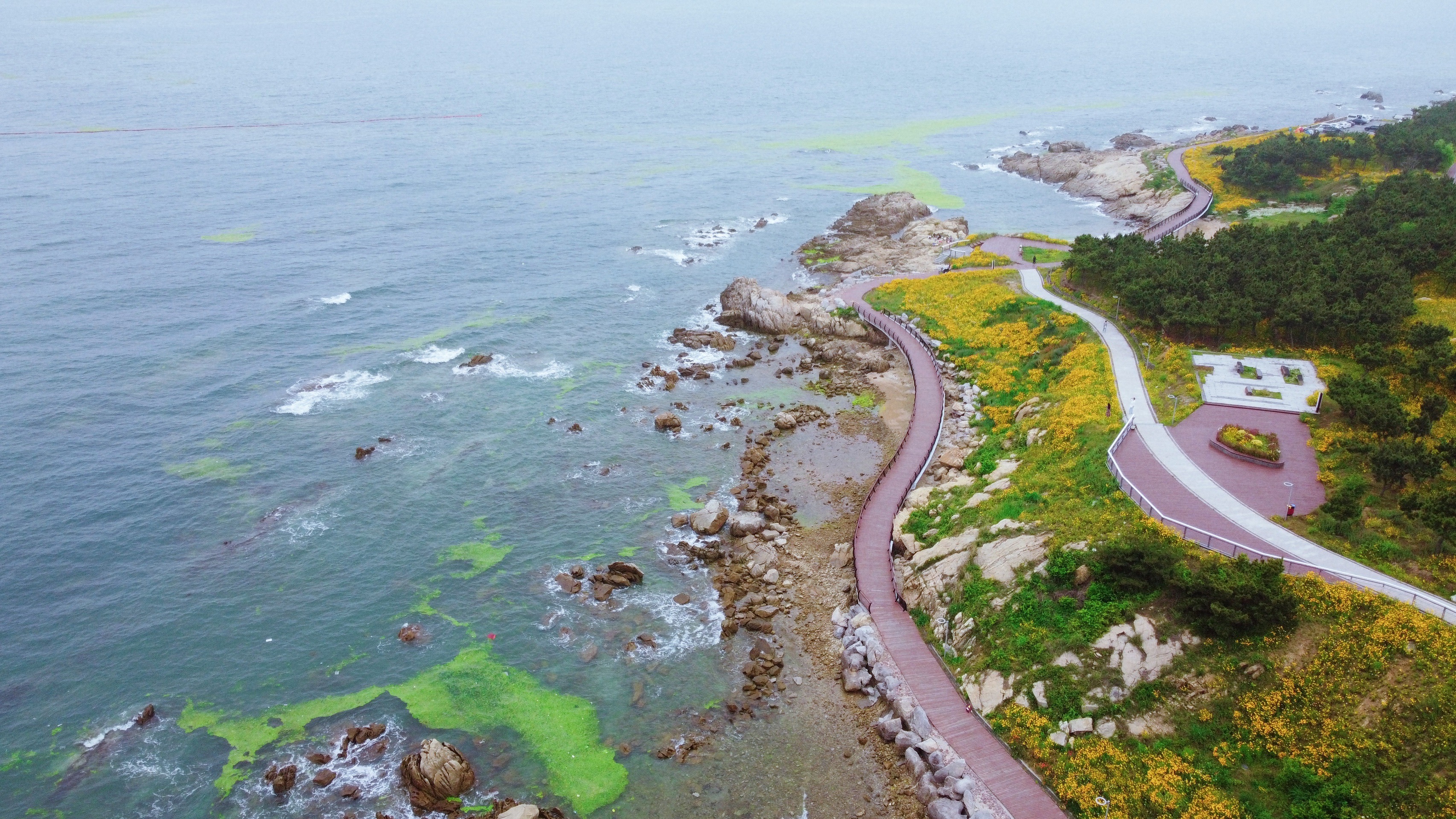 黄岛鱼鸣嘴民宿-向海咖啡餐厅介绍, 鱼鸣嘴民宿-向海咖啡地址-交通