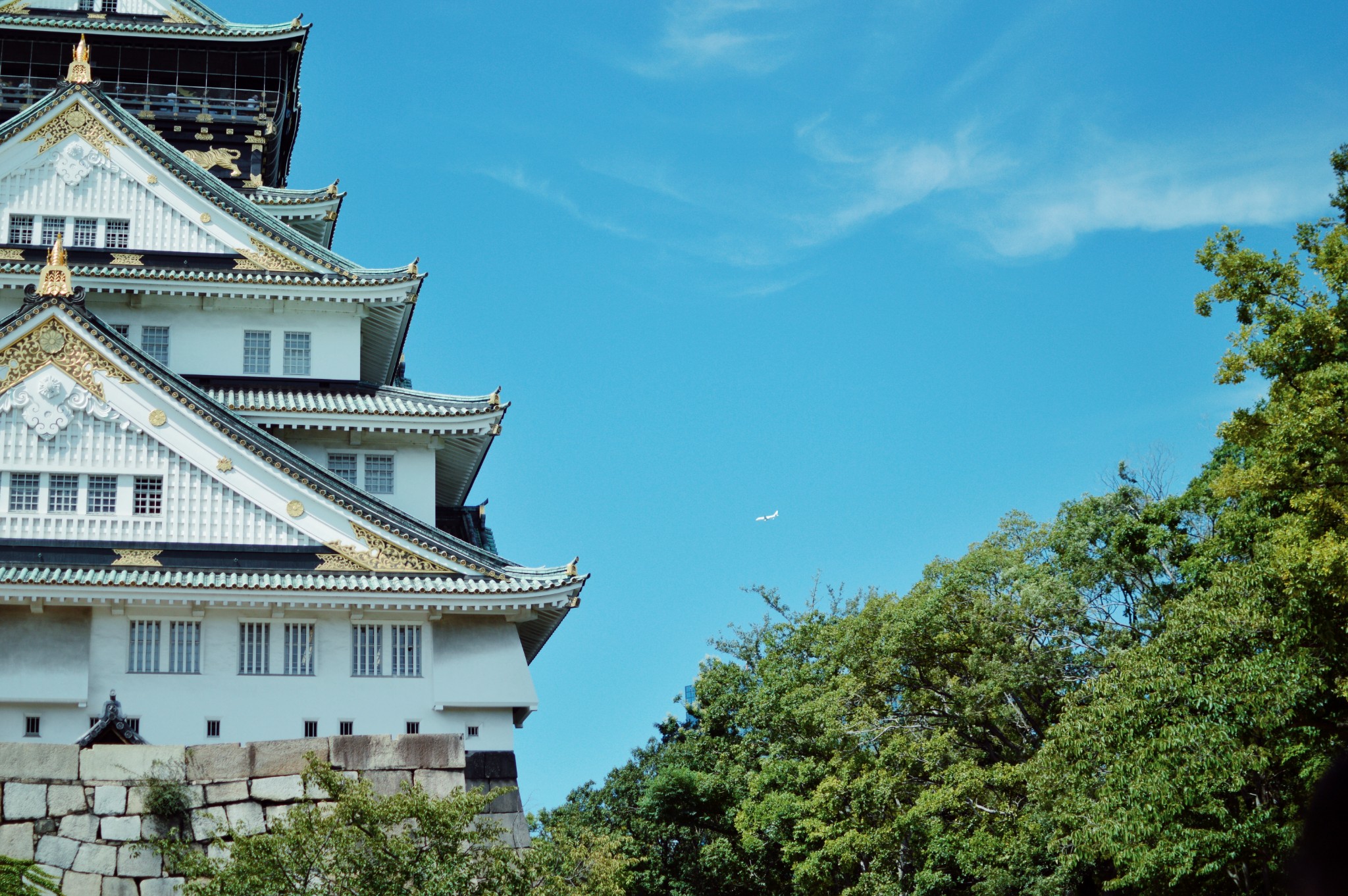 東京自助遊攻略