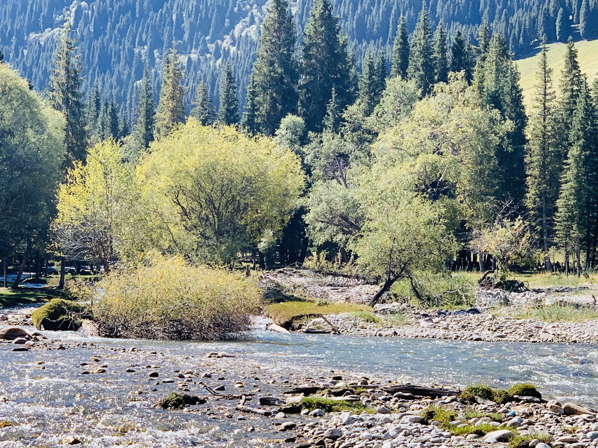 琼库什台紫花坡