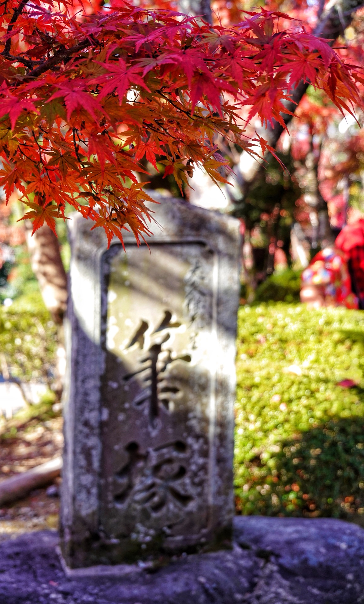 京都自助遊攻略