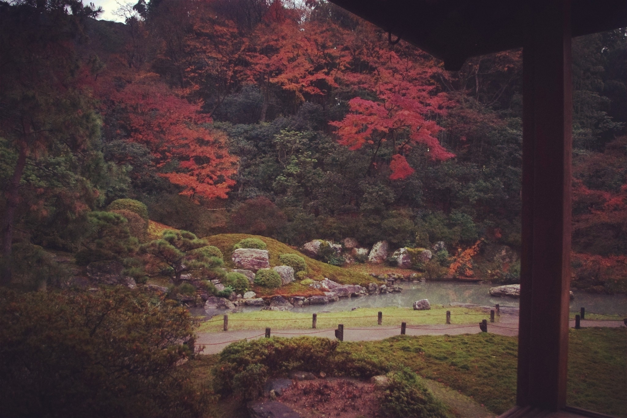 京都自助遊攻略