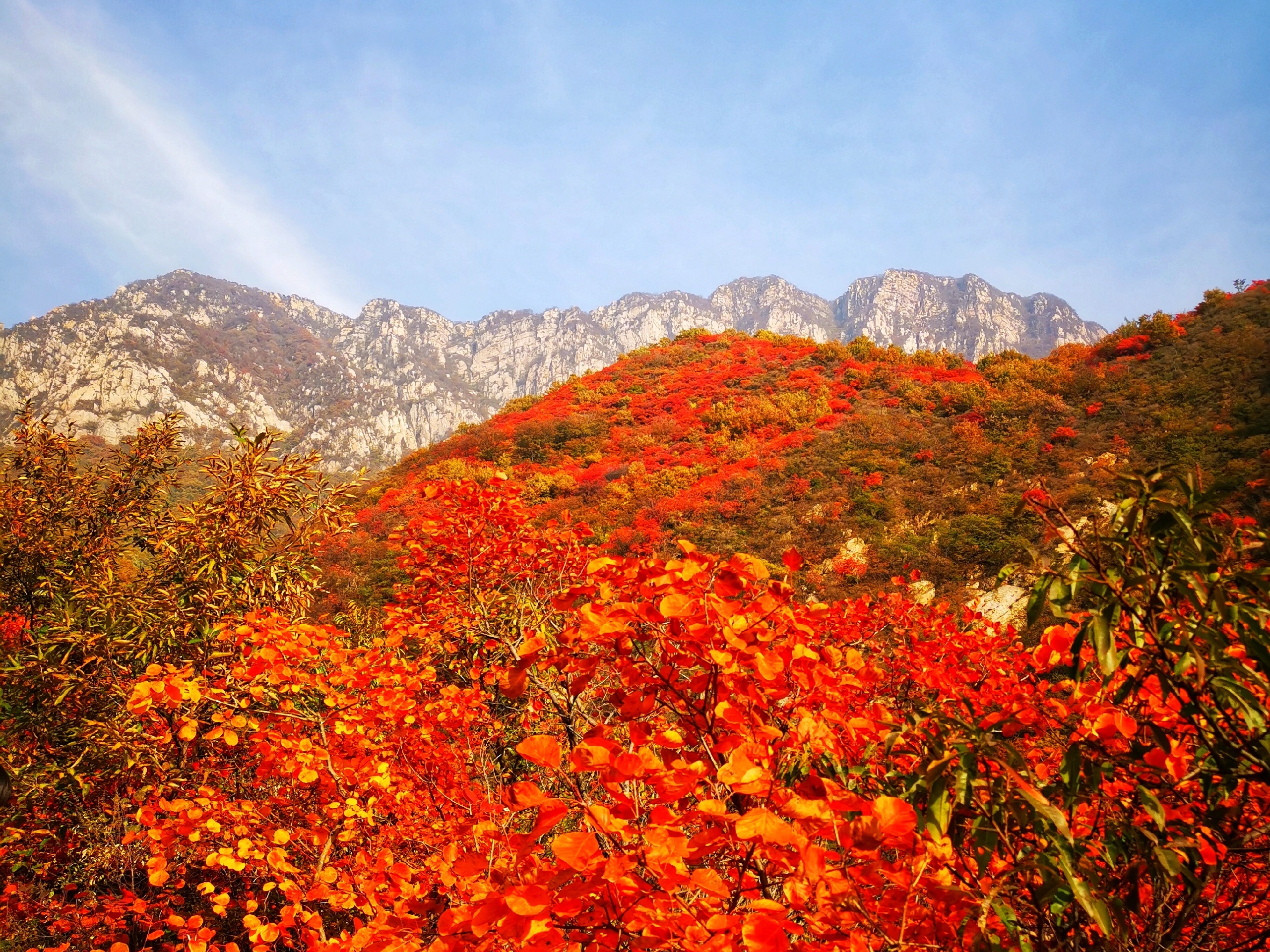 嵩山风景名胜区-三祖庵塔