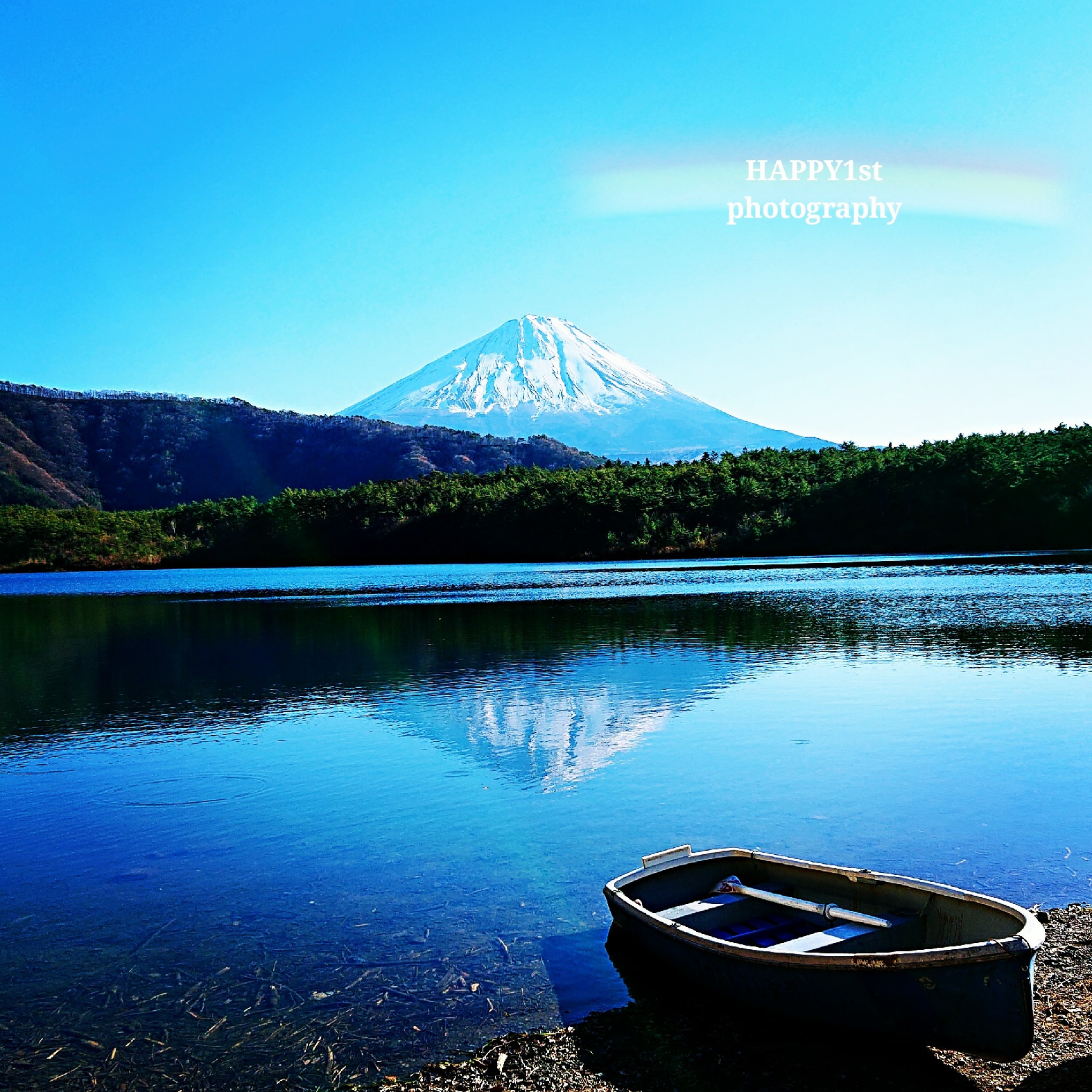 Aokigahara Forest Nature Guide Tour