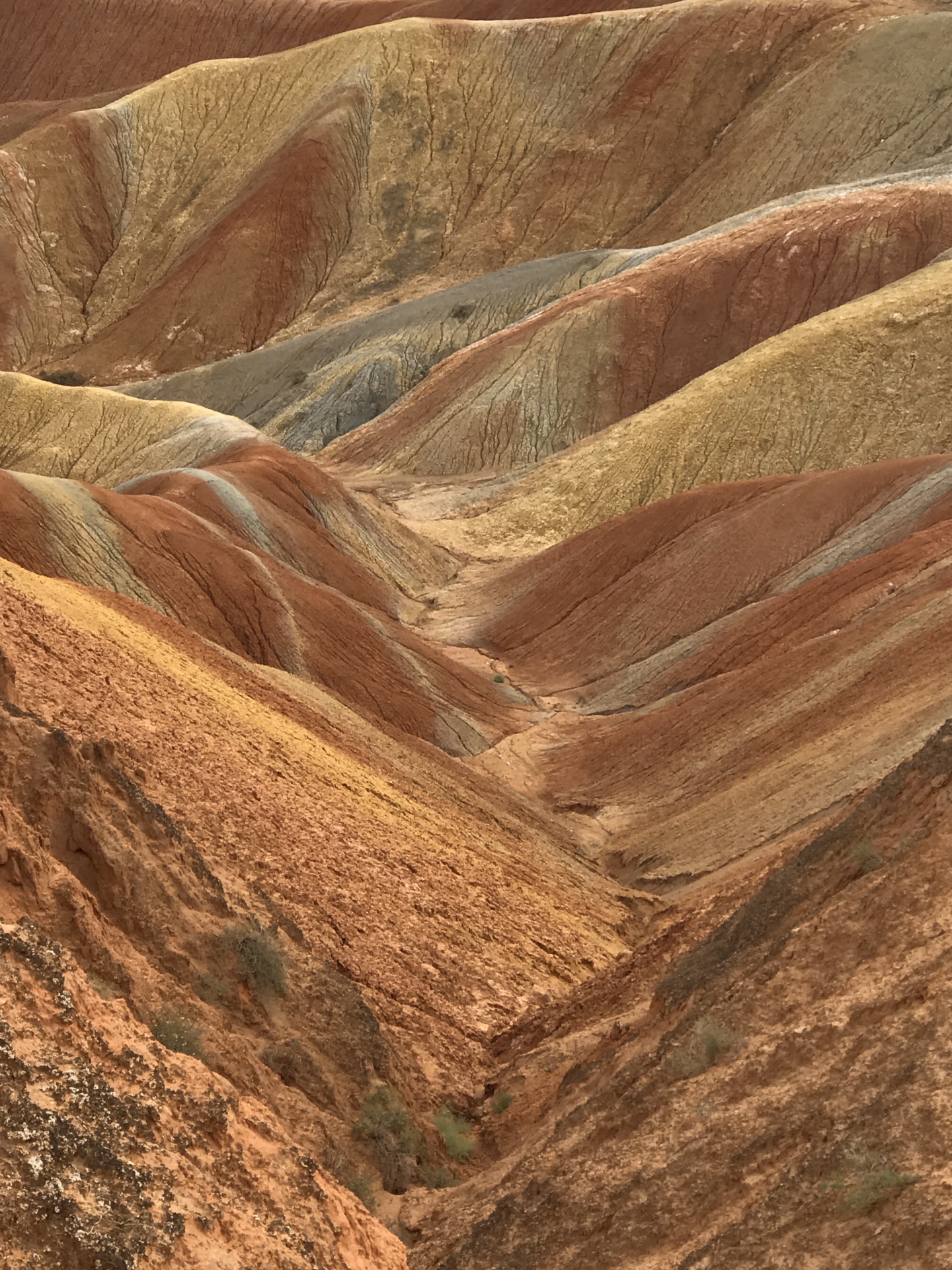 沿河西走廊,穿西域大漠,观金色胡杨,走进历史长河