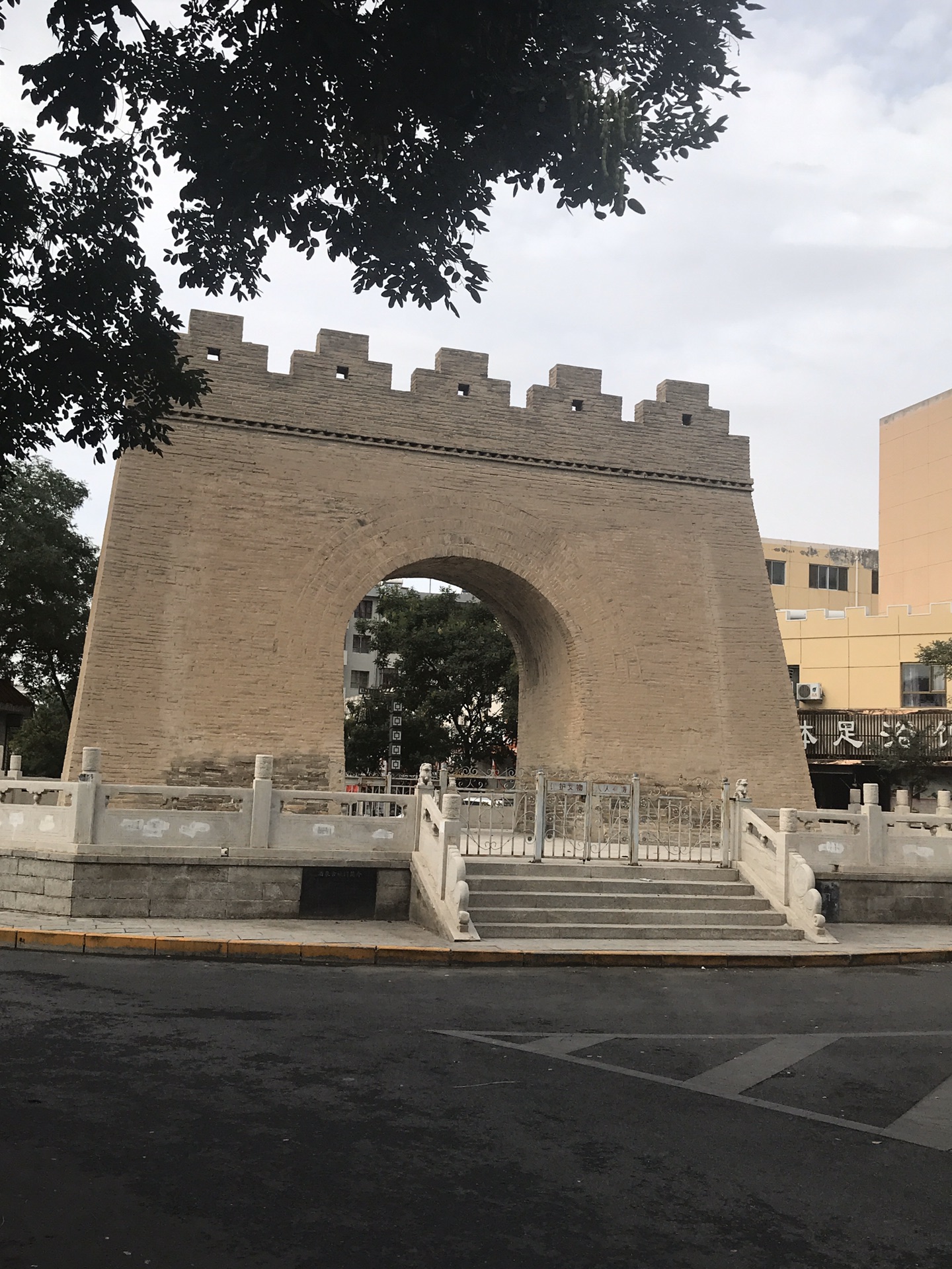 沿河西走廊,穿西域大漠,观金色胡杨,走进历史长河