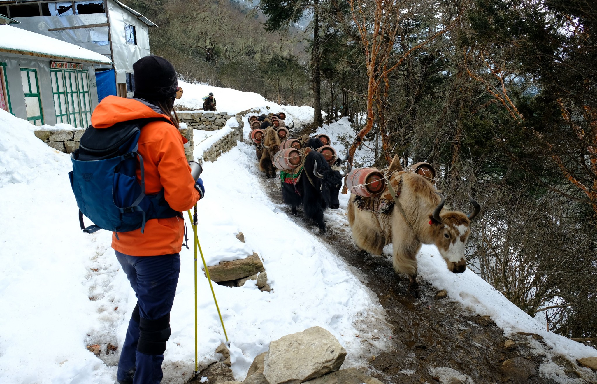 尼泊爾自助遊攻略