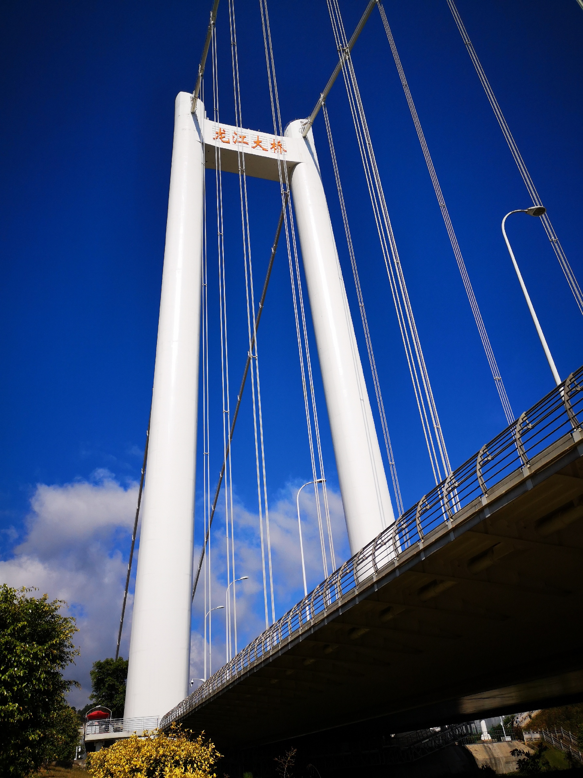 瑞丽美食-香满园