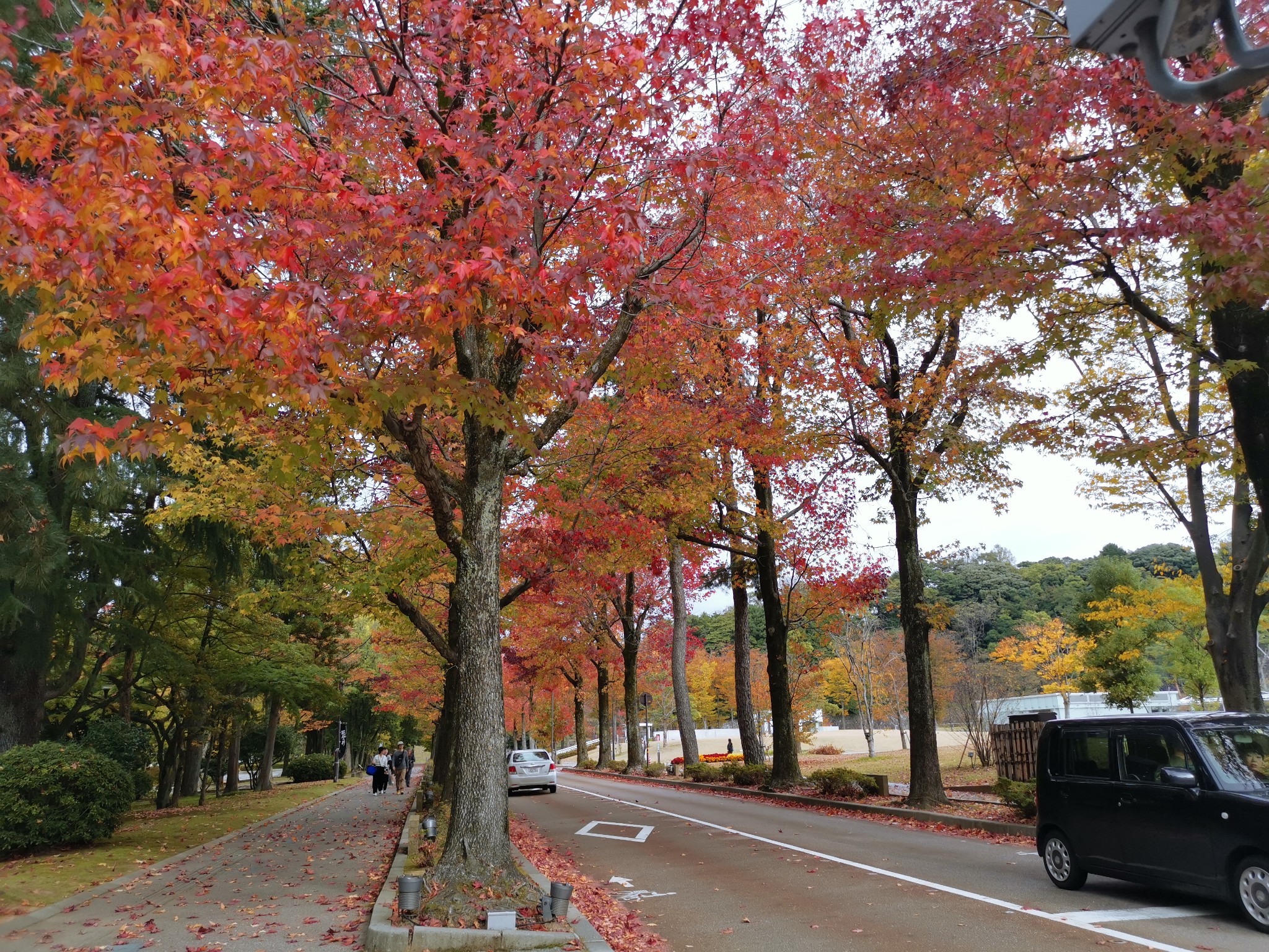 北海道自助遊攻略