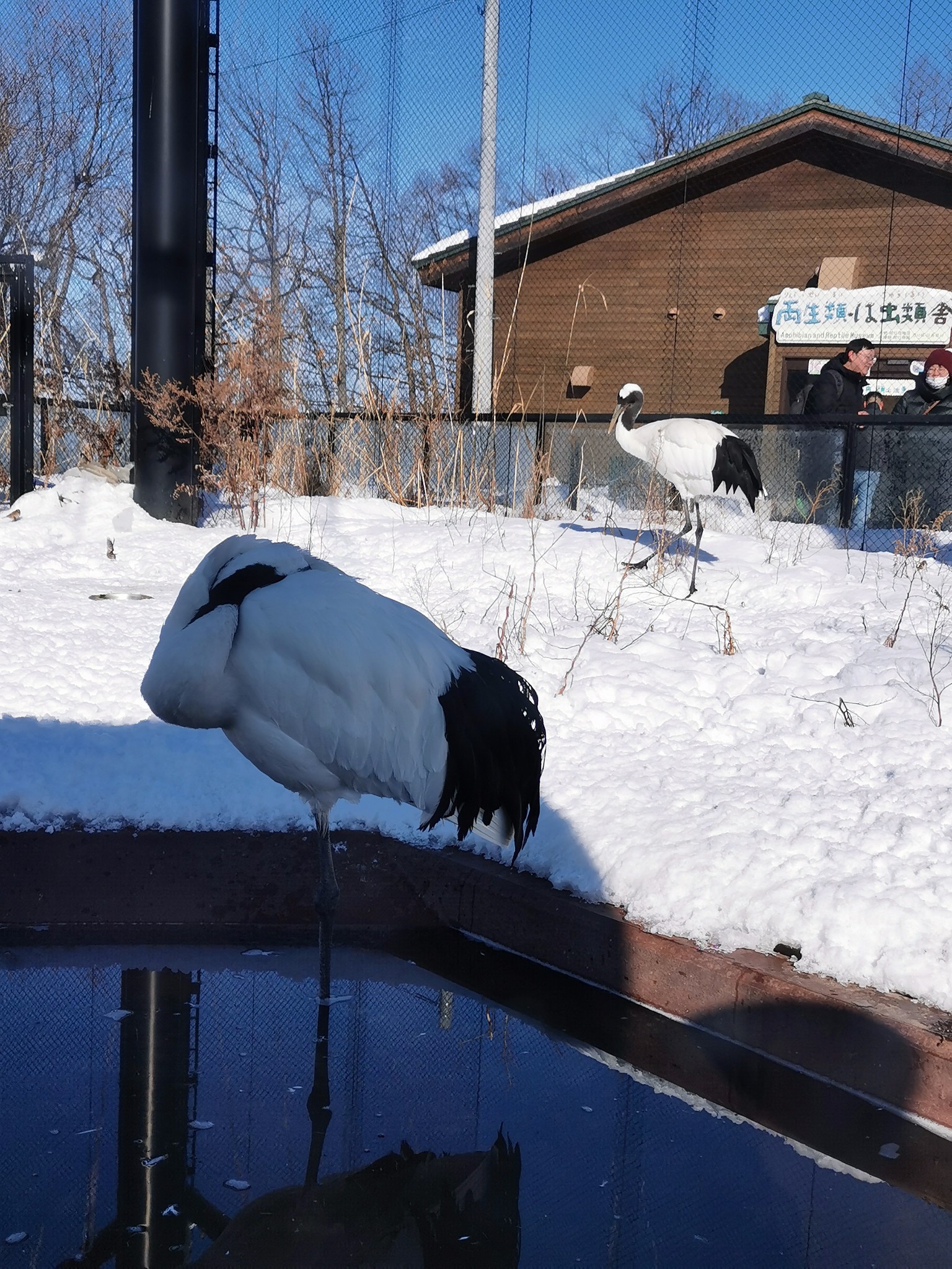 北海道自助遊攻略