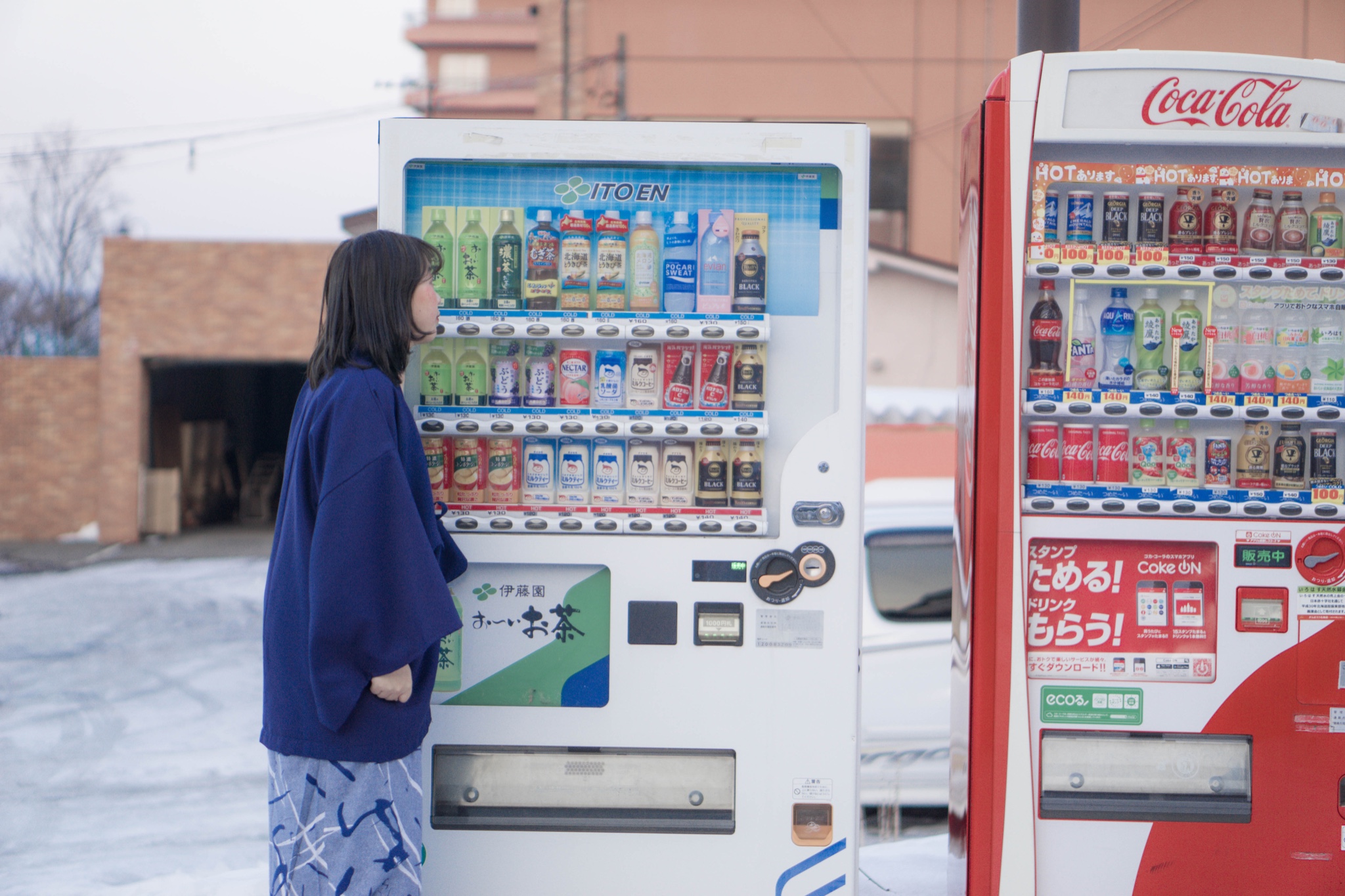 北海道自助遊攻略