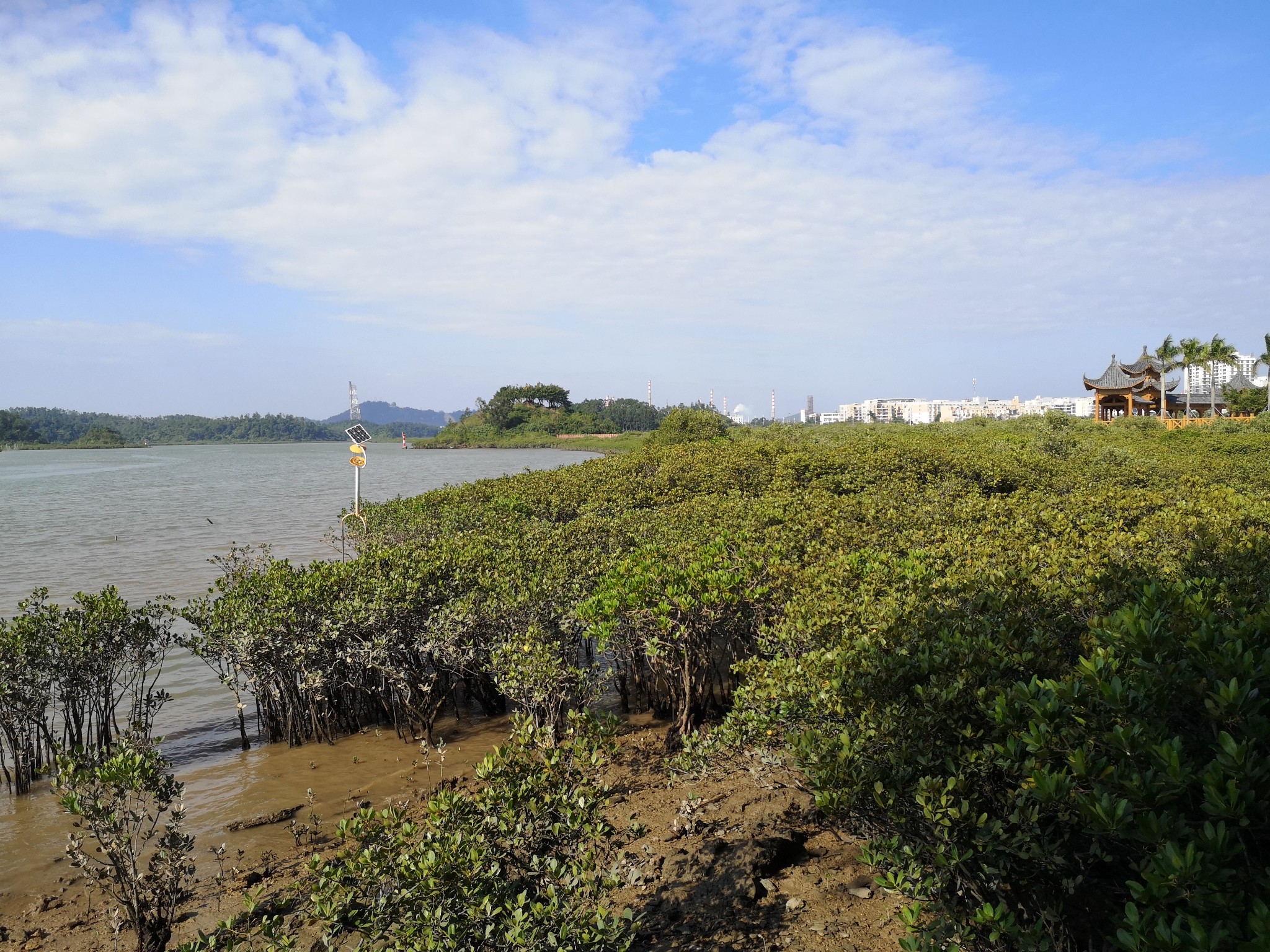 欽州行——打卡網紅海上公路,旅遊攻略 - 馬蜂窩