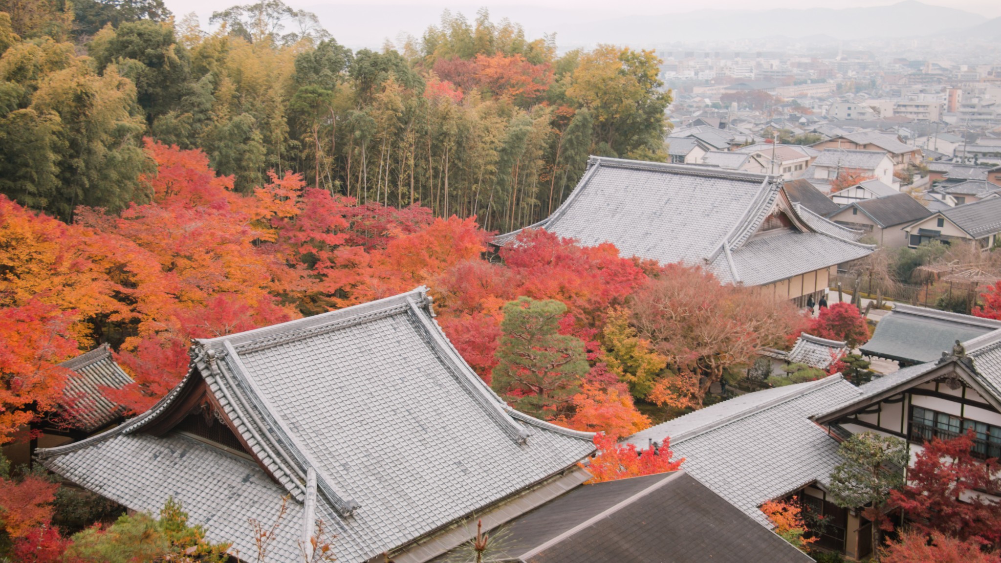 京都自助遊攻略