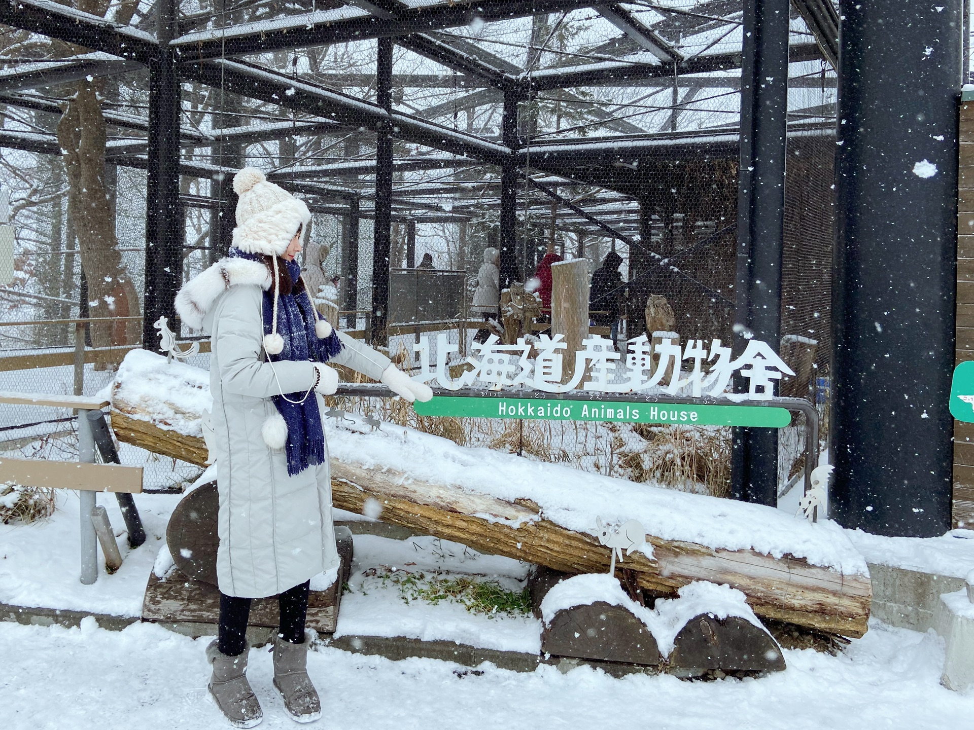 北海道自助遊攻略