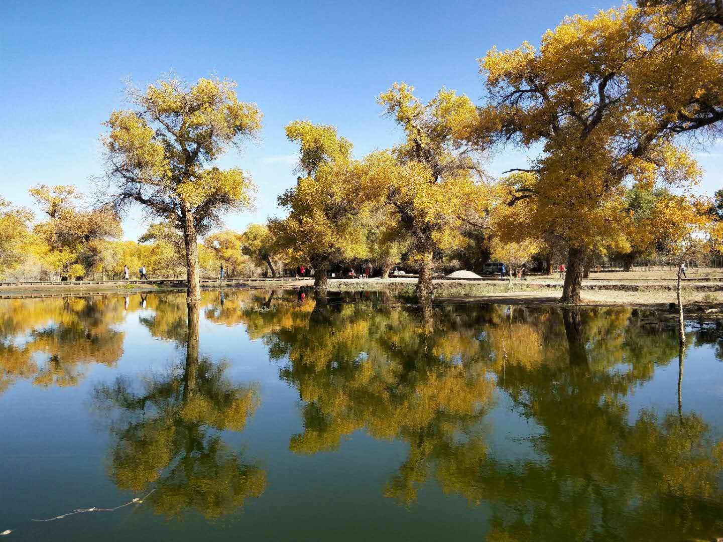 沙雅县旅游景点有哪些图片