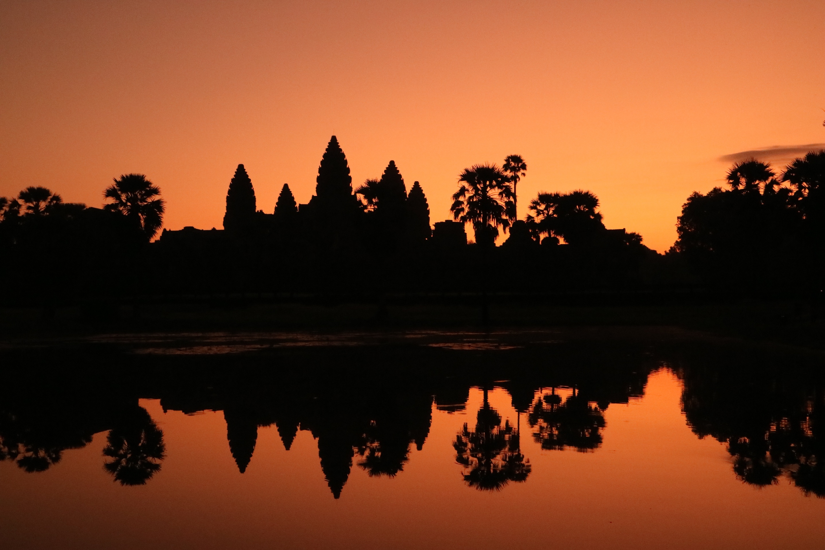 Siem Reap TukTuks