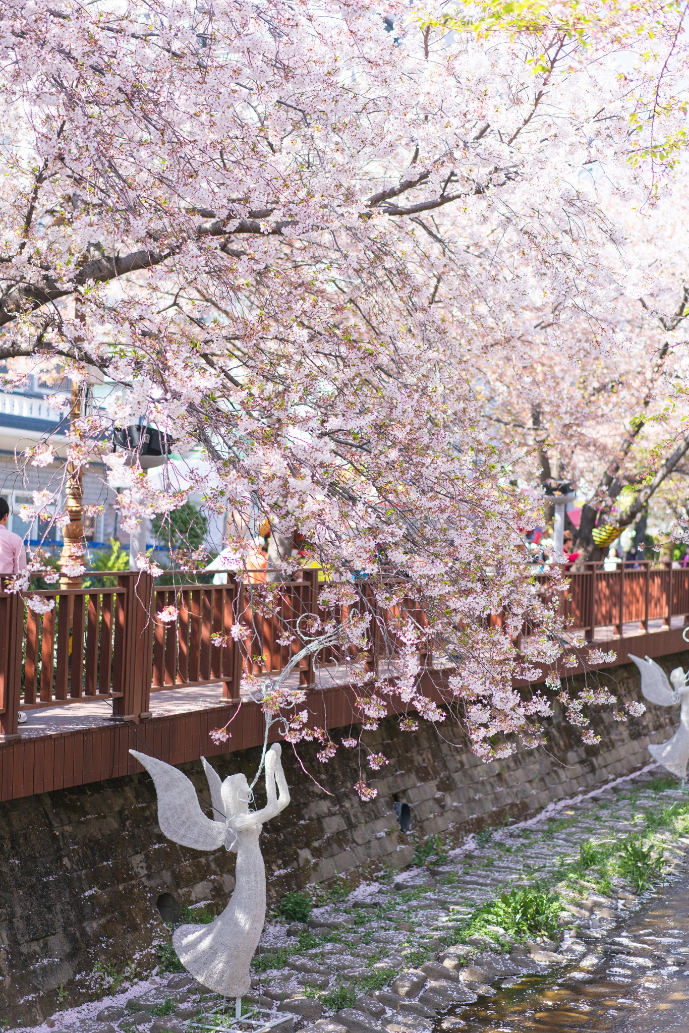 釜山自助遊攻略