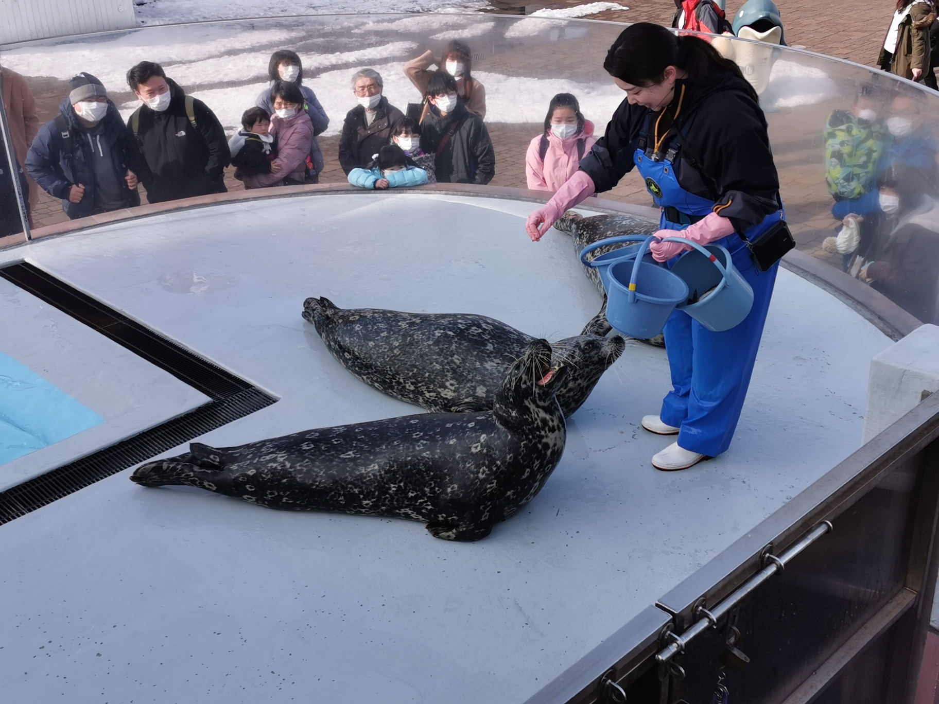 北海道自助遊攻略