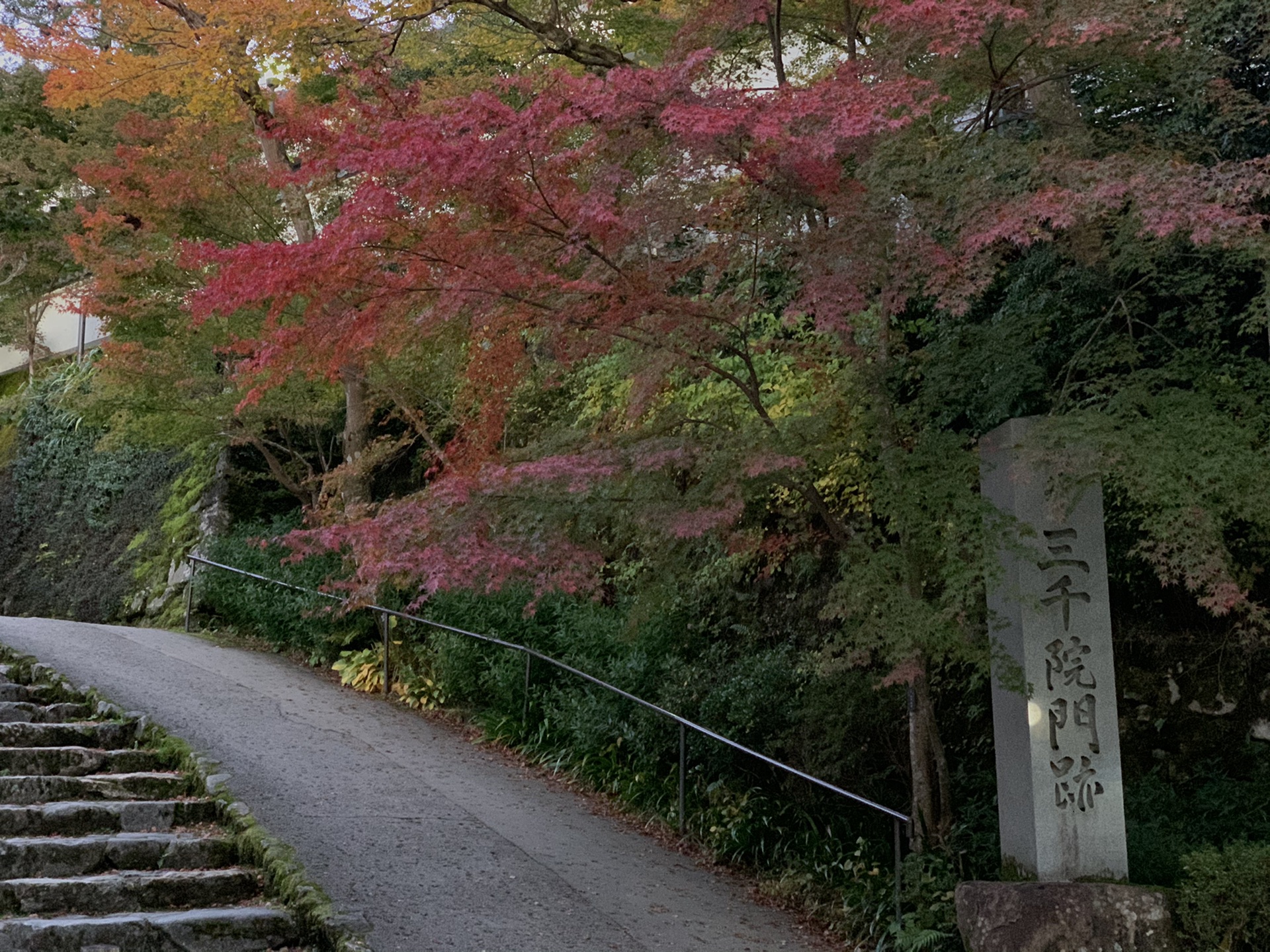 京都自助遊攻略