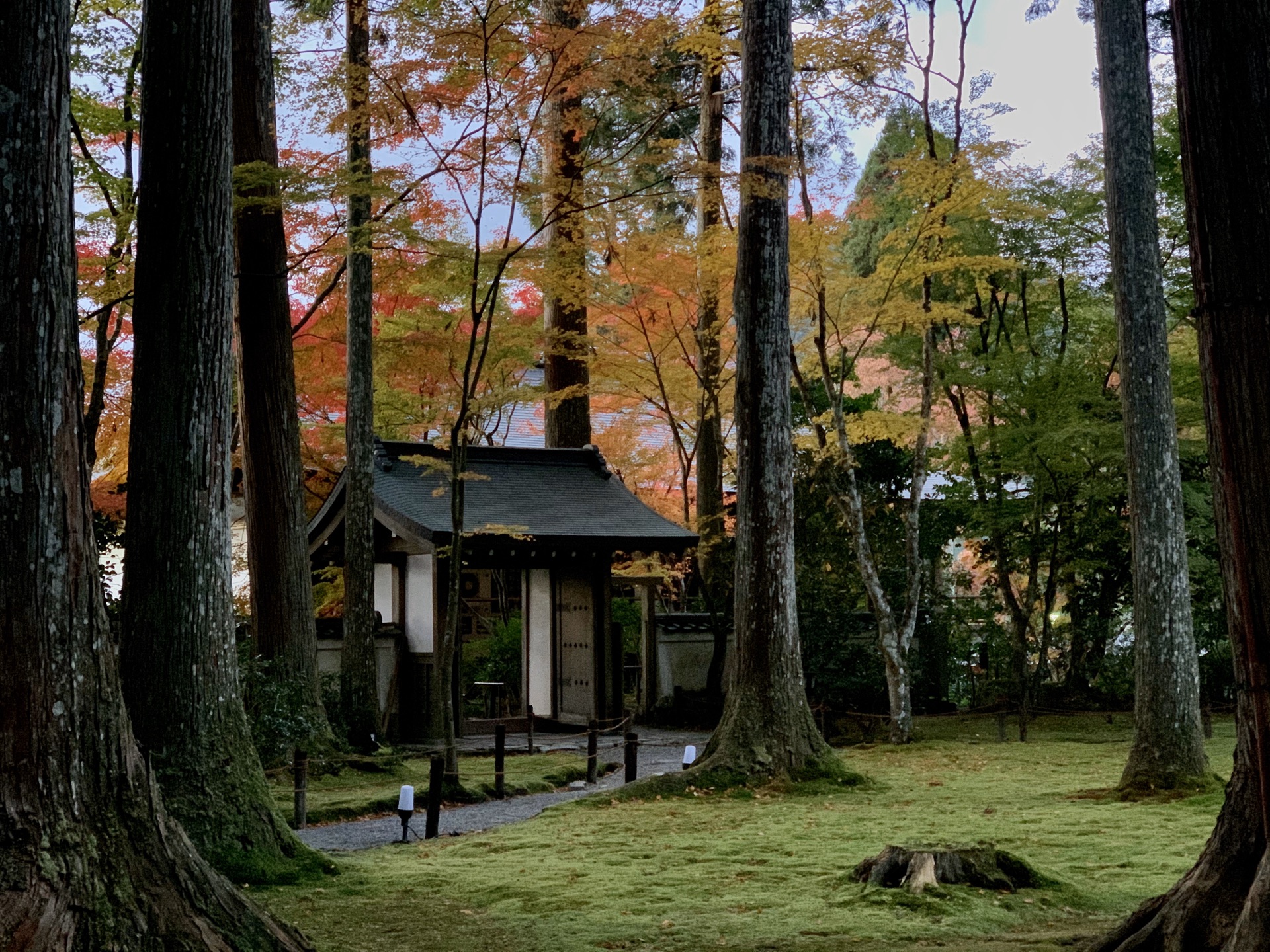 京都自助遊攻略