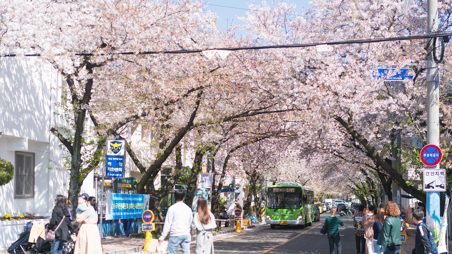 釜山自助遊攻略