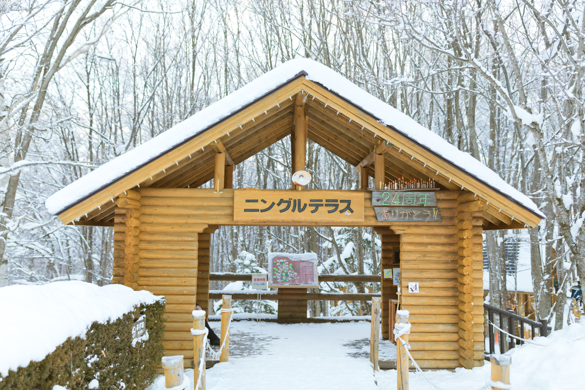 北海道自助遊攻略