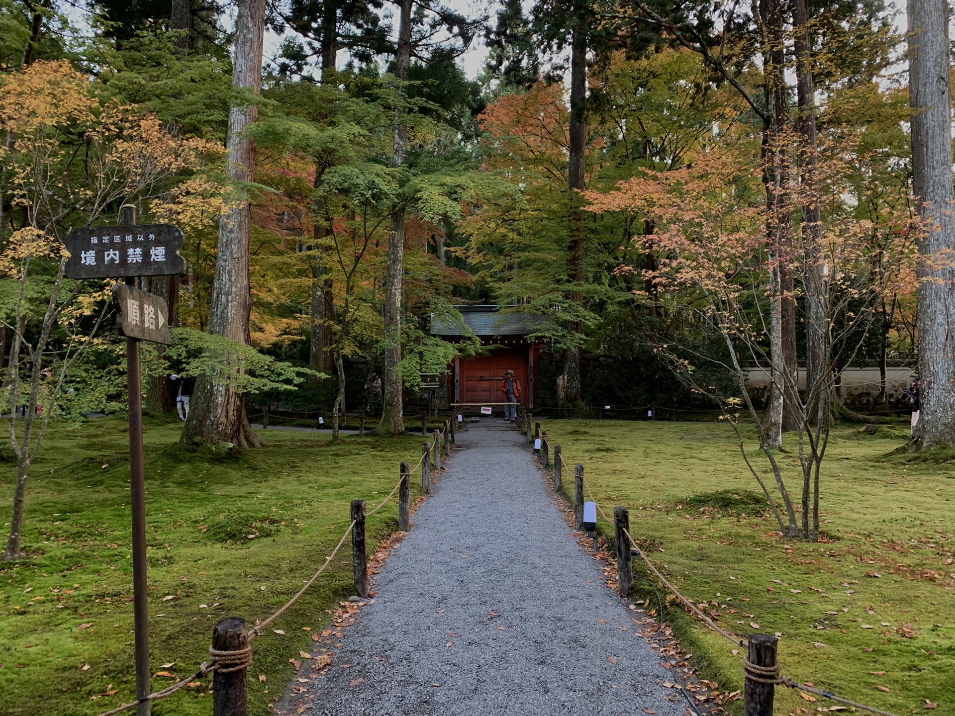 京都自助遊攻略