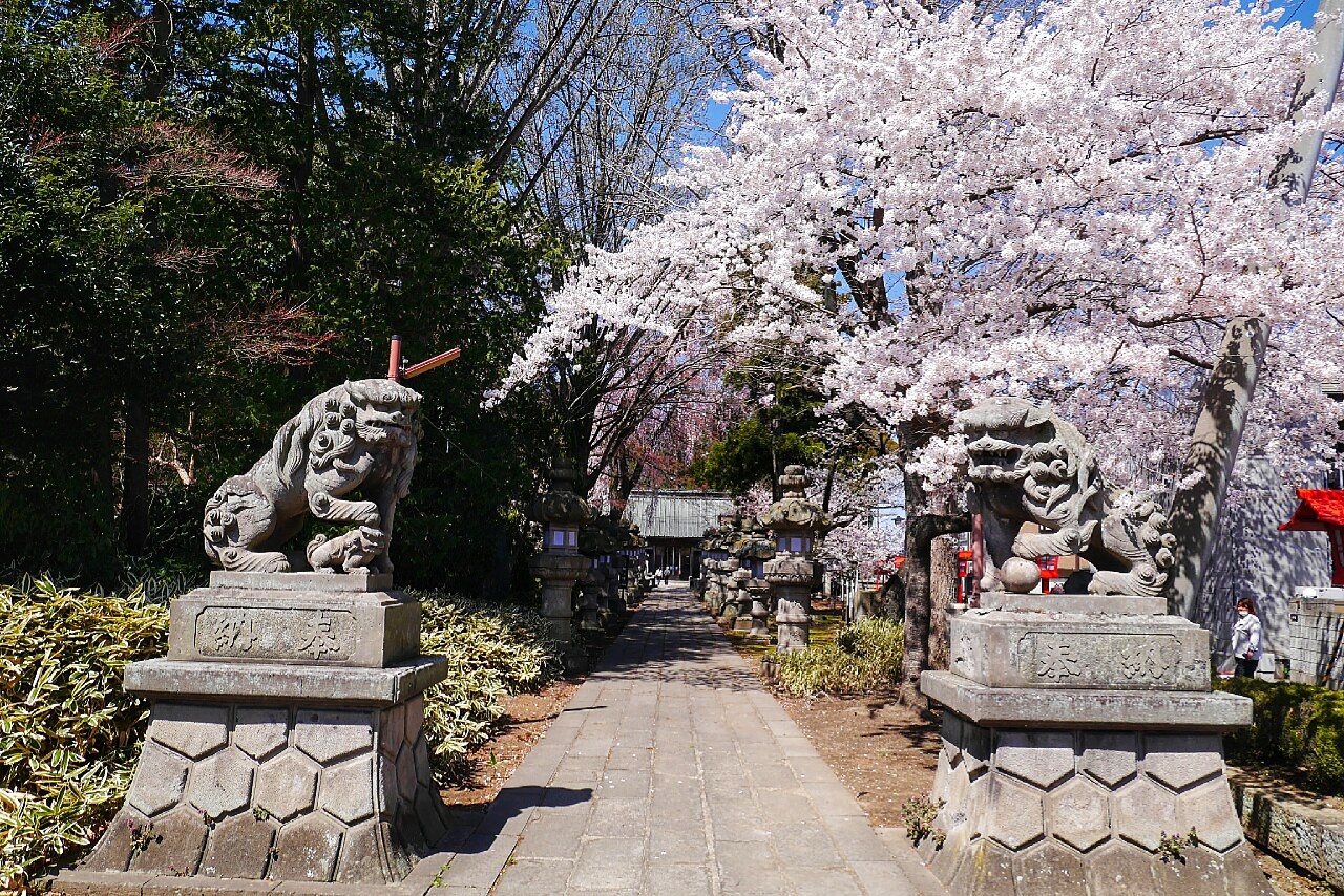 福島市自助遊攻略