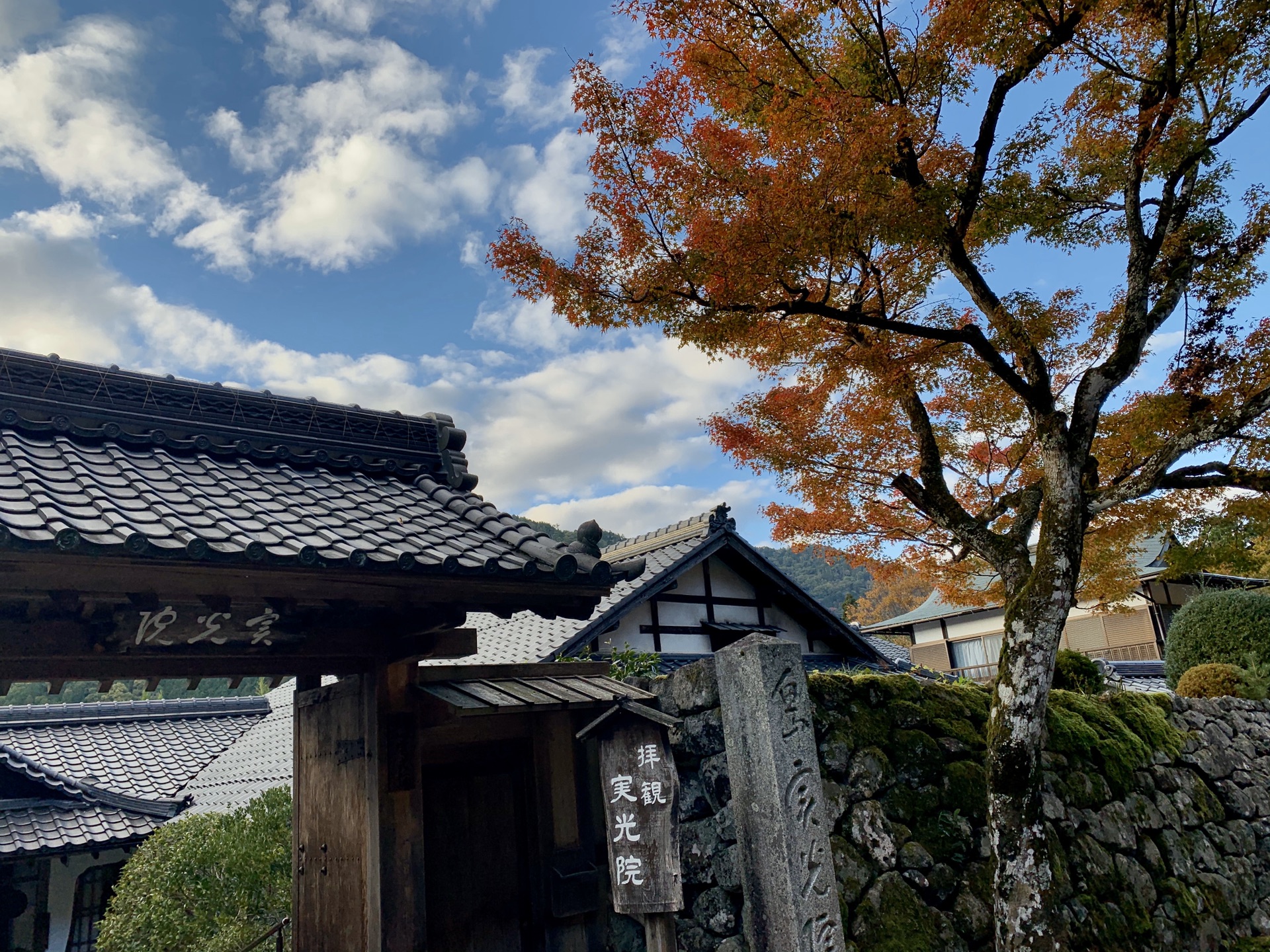 京都自助遊攻略