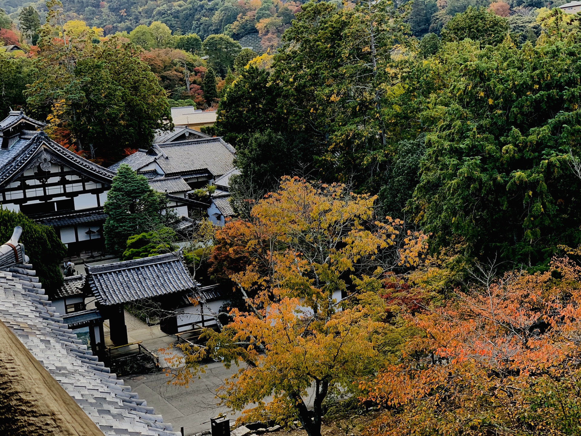 京都自助遊攻略