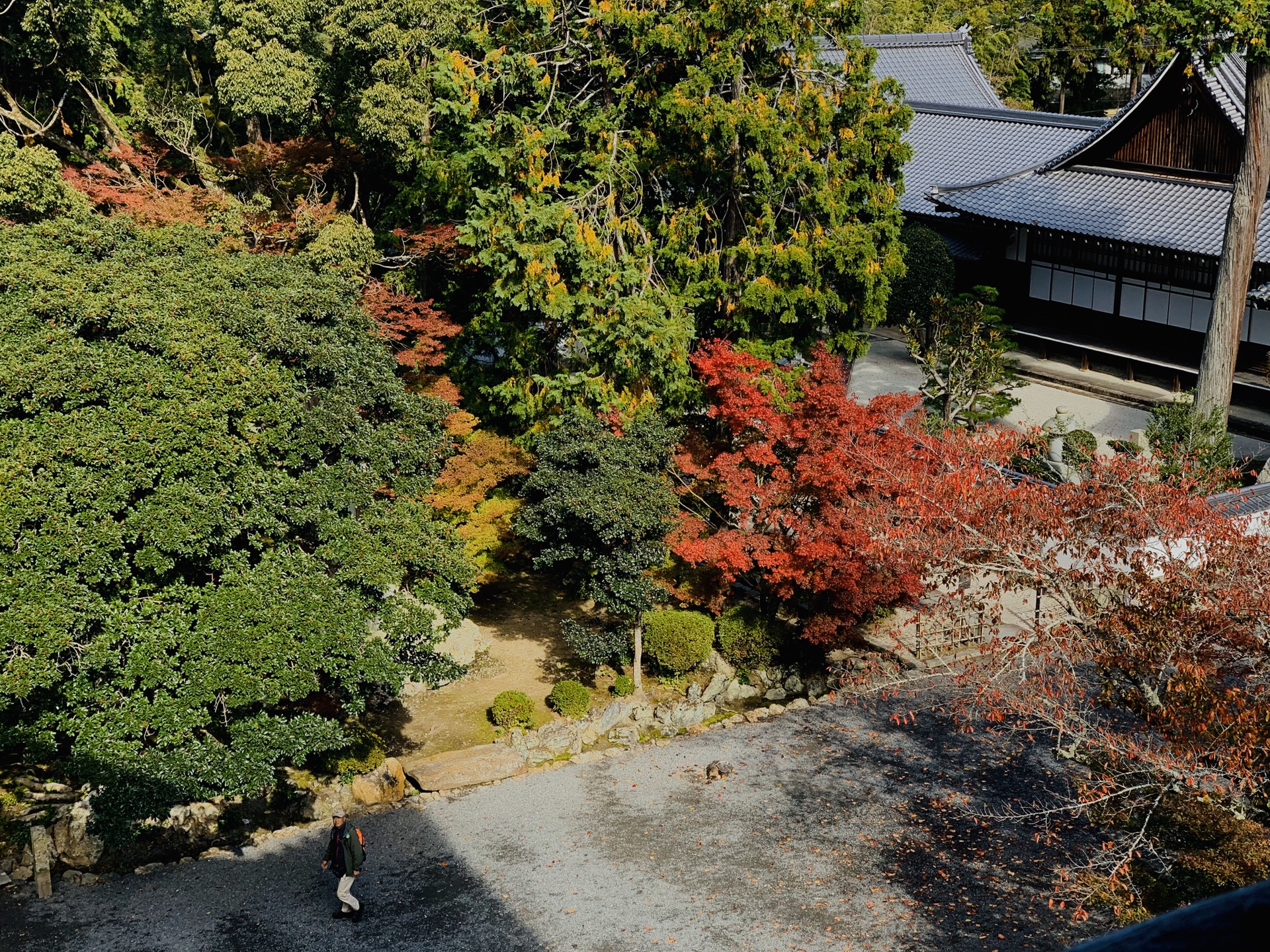 京都自助遊攻略