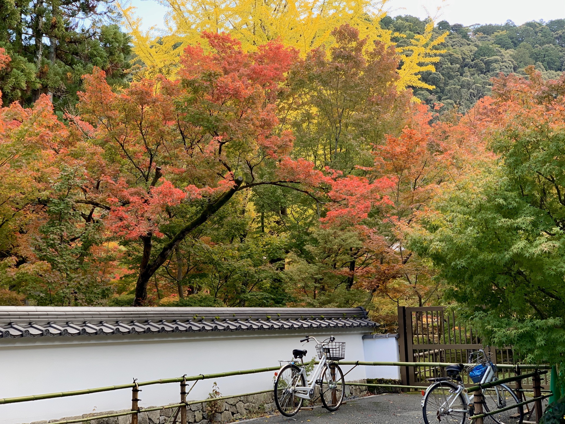 京都自助遊攻略